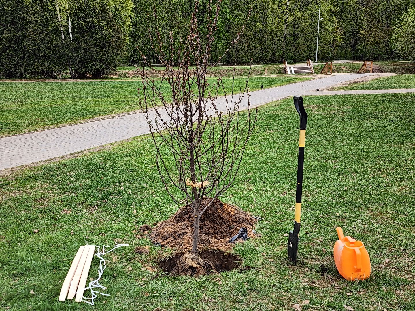всероссийский субботник в королеве, королёв, мемориал славы в королеве,