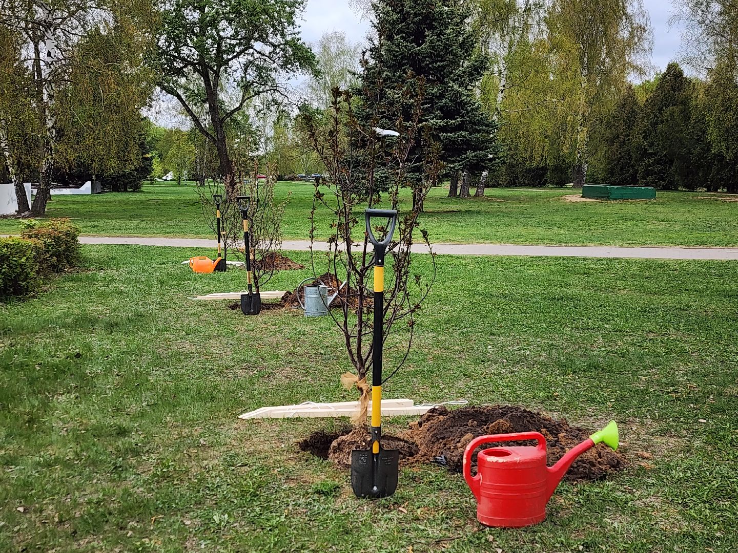 всероссийский субботник в королеве, королёв, мемориал славы в королеве,