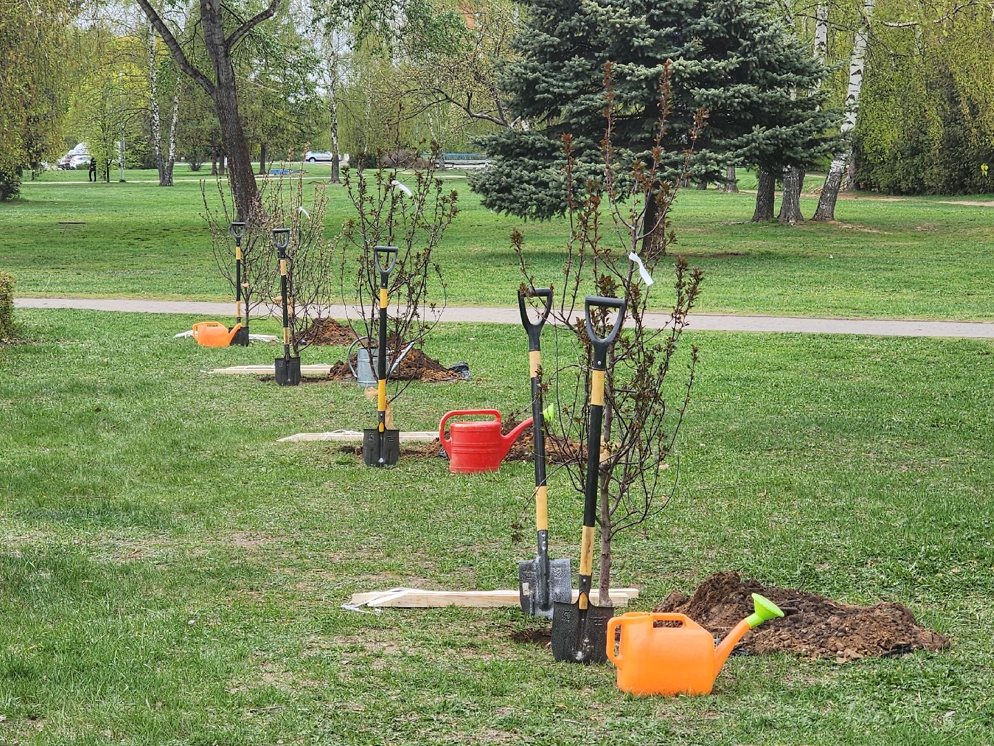 всероссийский субботник в королеве, королёв, мемориал славы в королеве,