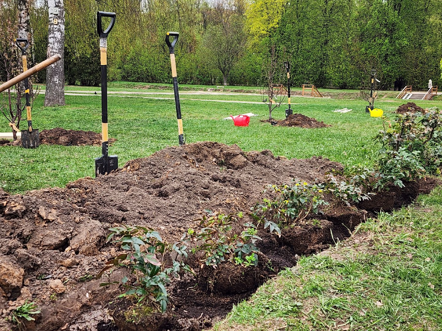 всероссийский субботник в королеве, королёв, мемориал славы в королеве,