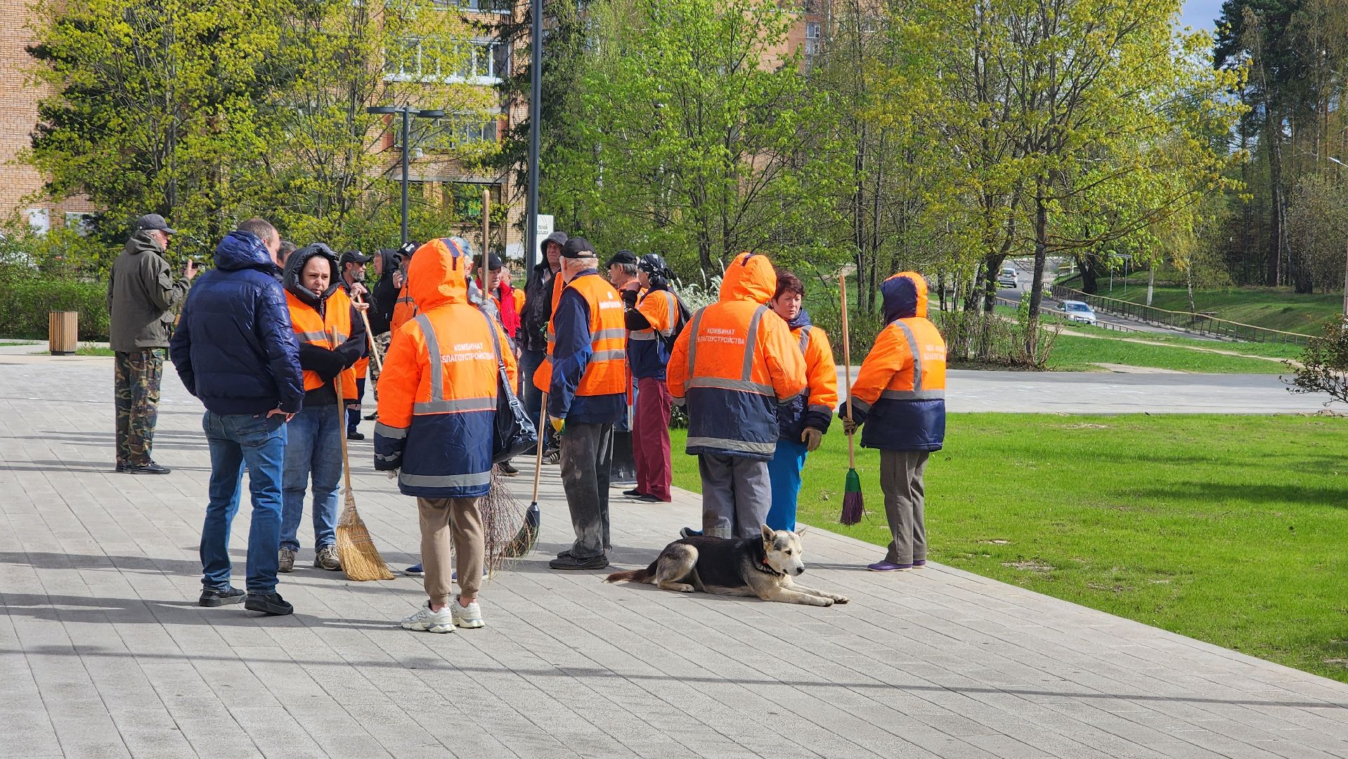 протвино, областной субботник, уборка,