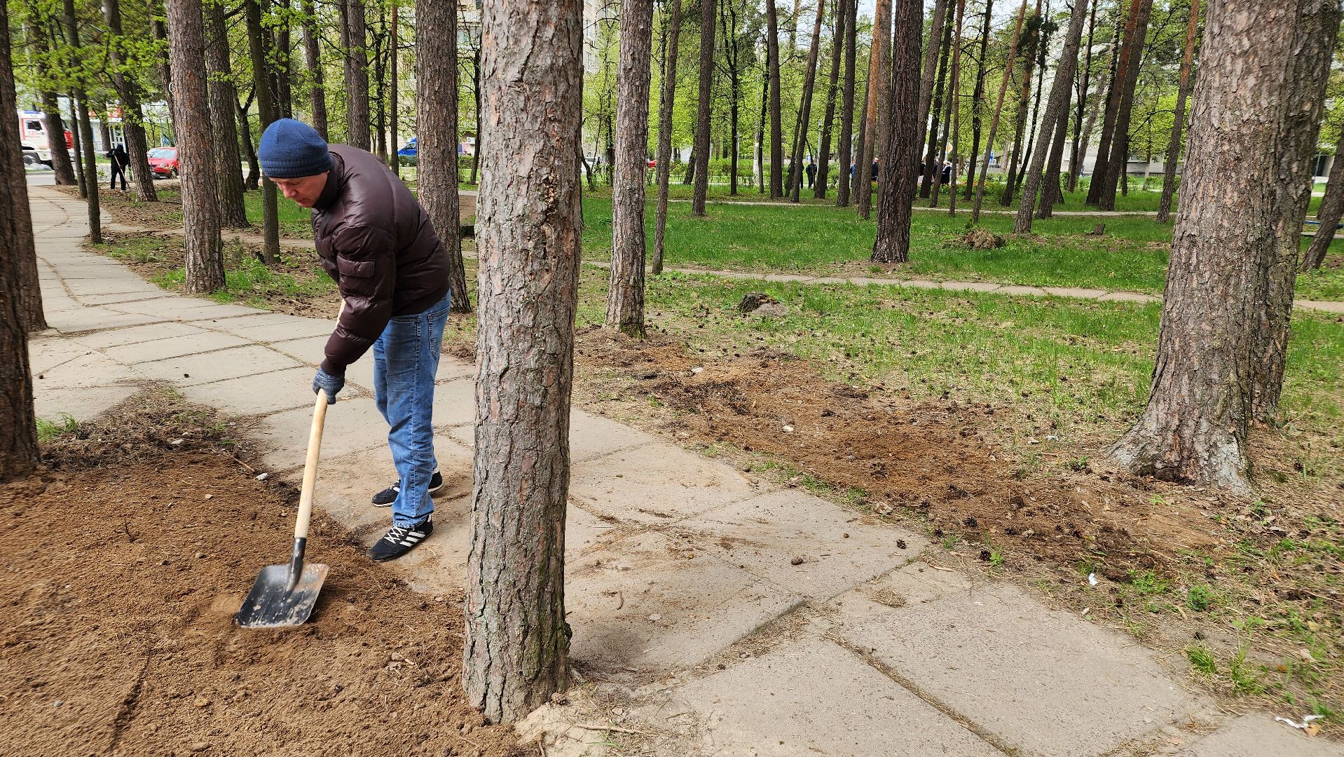 общеобластное мероприятие, областной субботник, протвино,