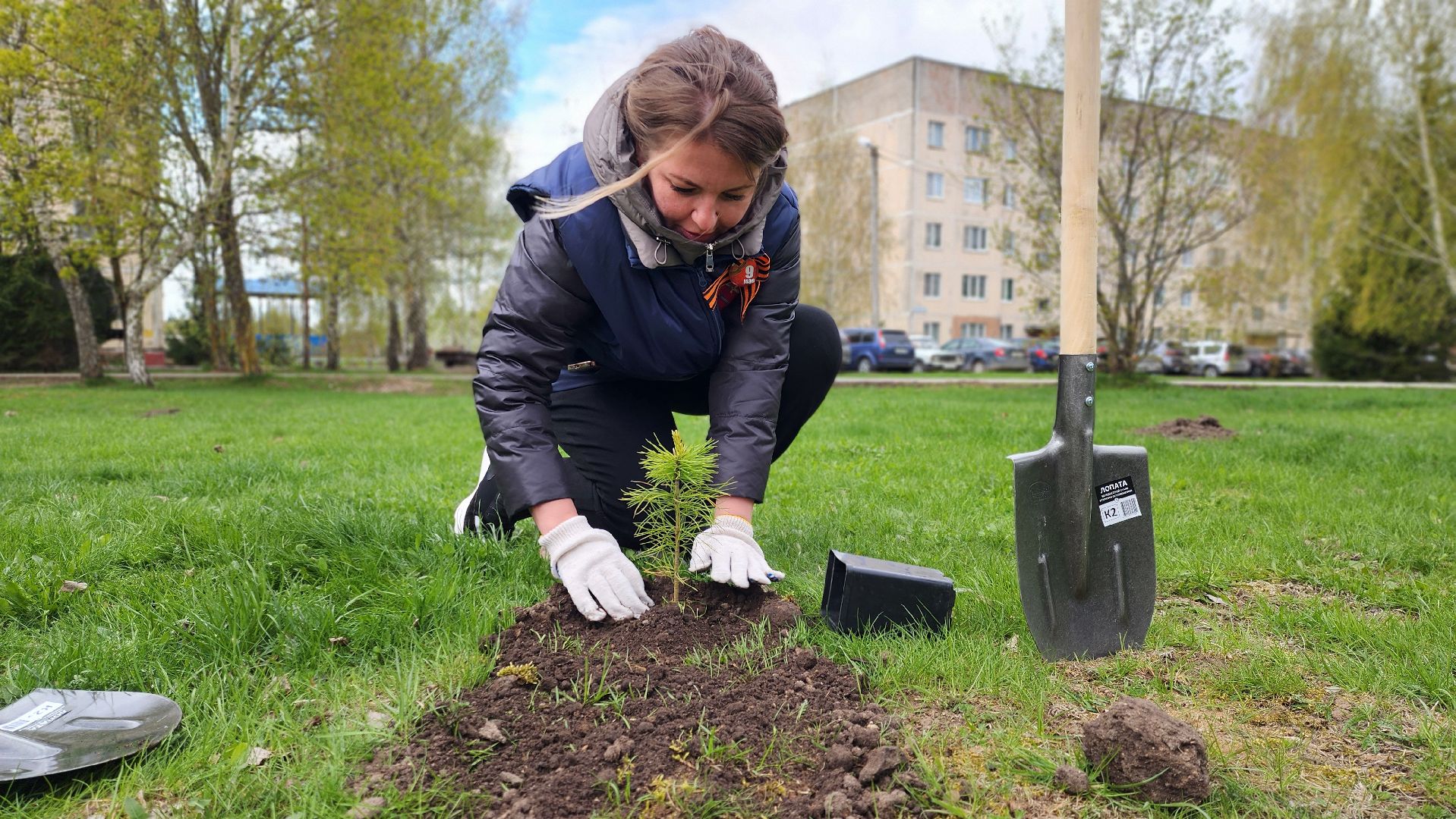 Руза, Посадка кедров, колюбакино,  сквер солнышко, всероссийский субботник,