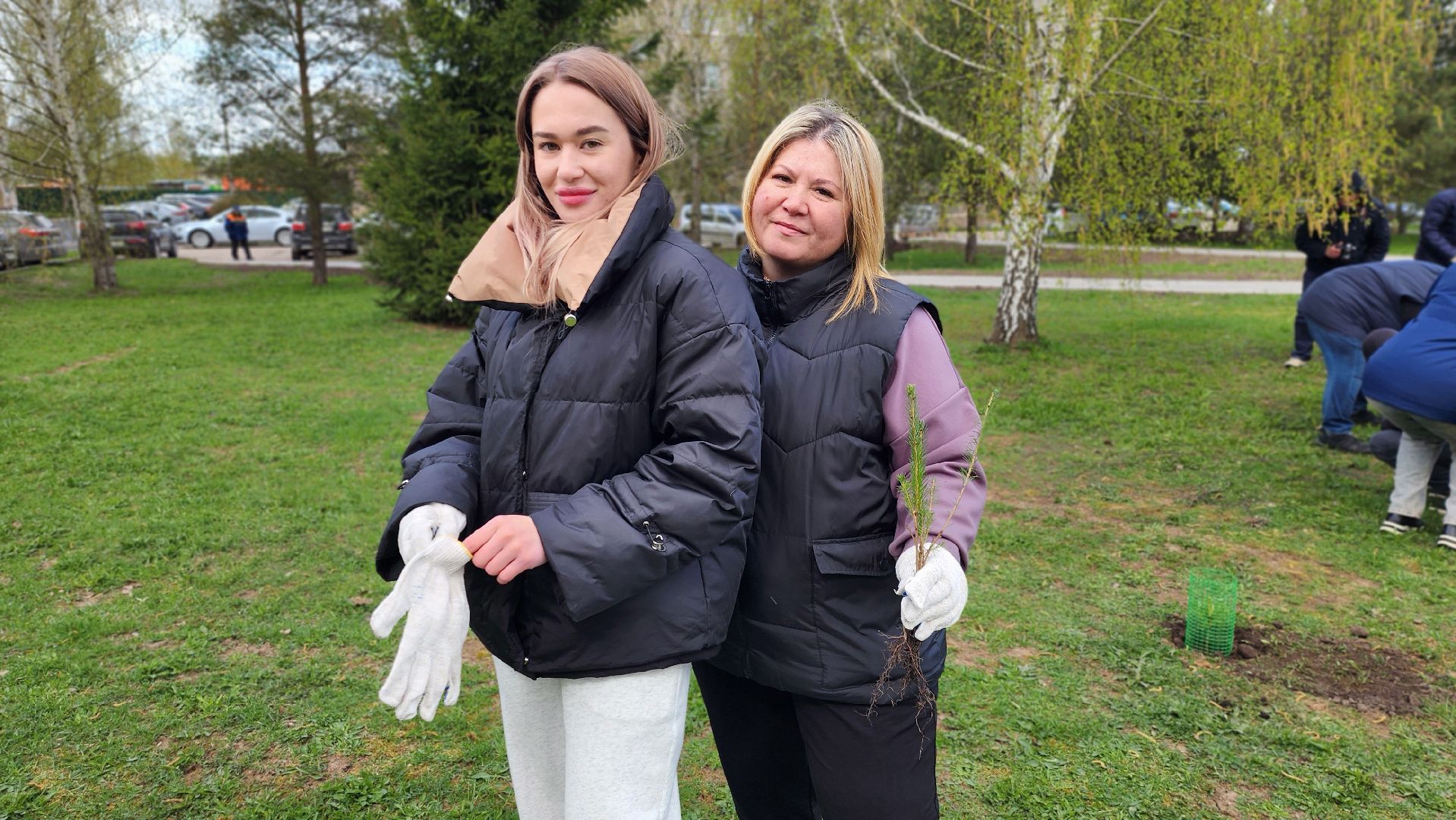 Руза, Посадка кедров, колюбакино,  сквер солнышко, всероссийский субботник,