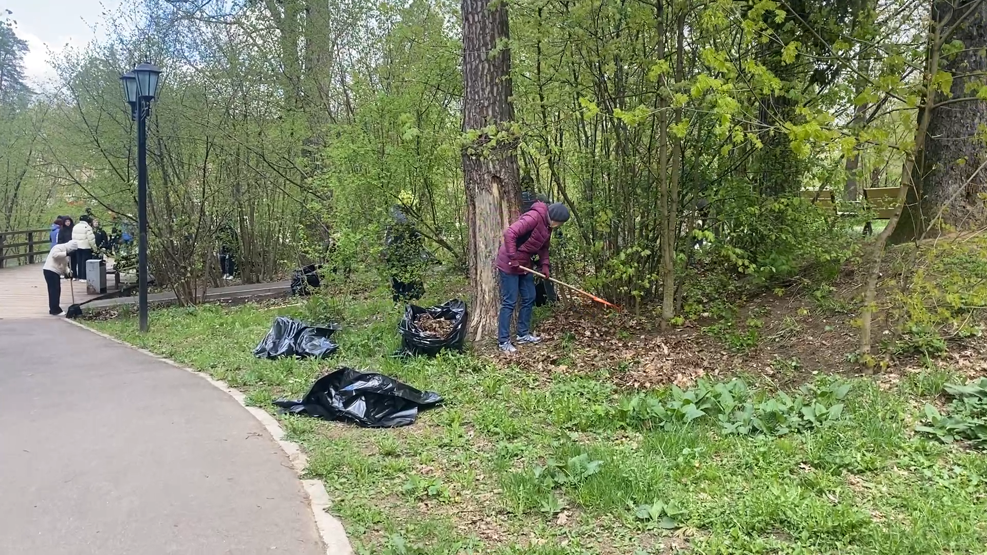 субботник, власиха субботник, весенний суббботник, всероссийский субботник,