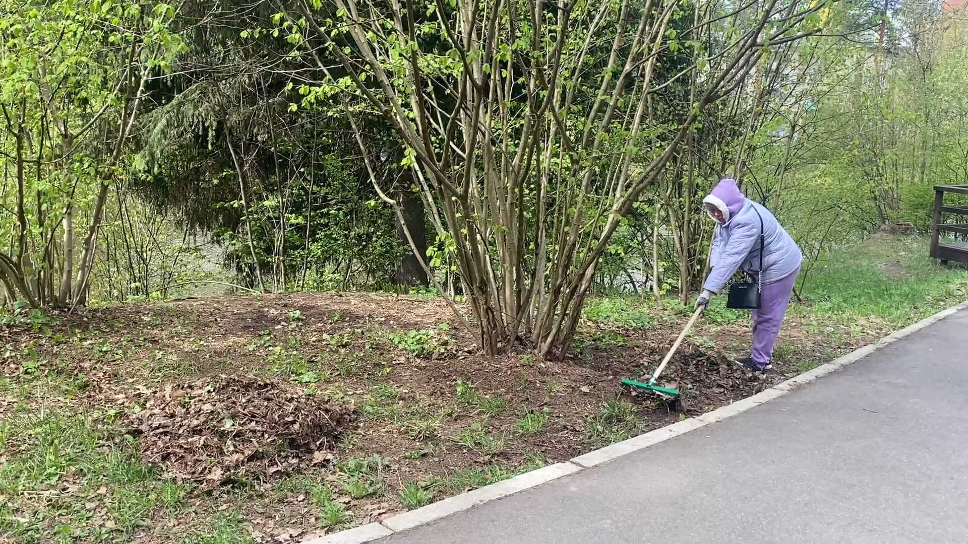 субботник, власиха субботник, весенний суббботник, всероссийский субботник,