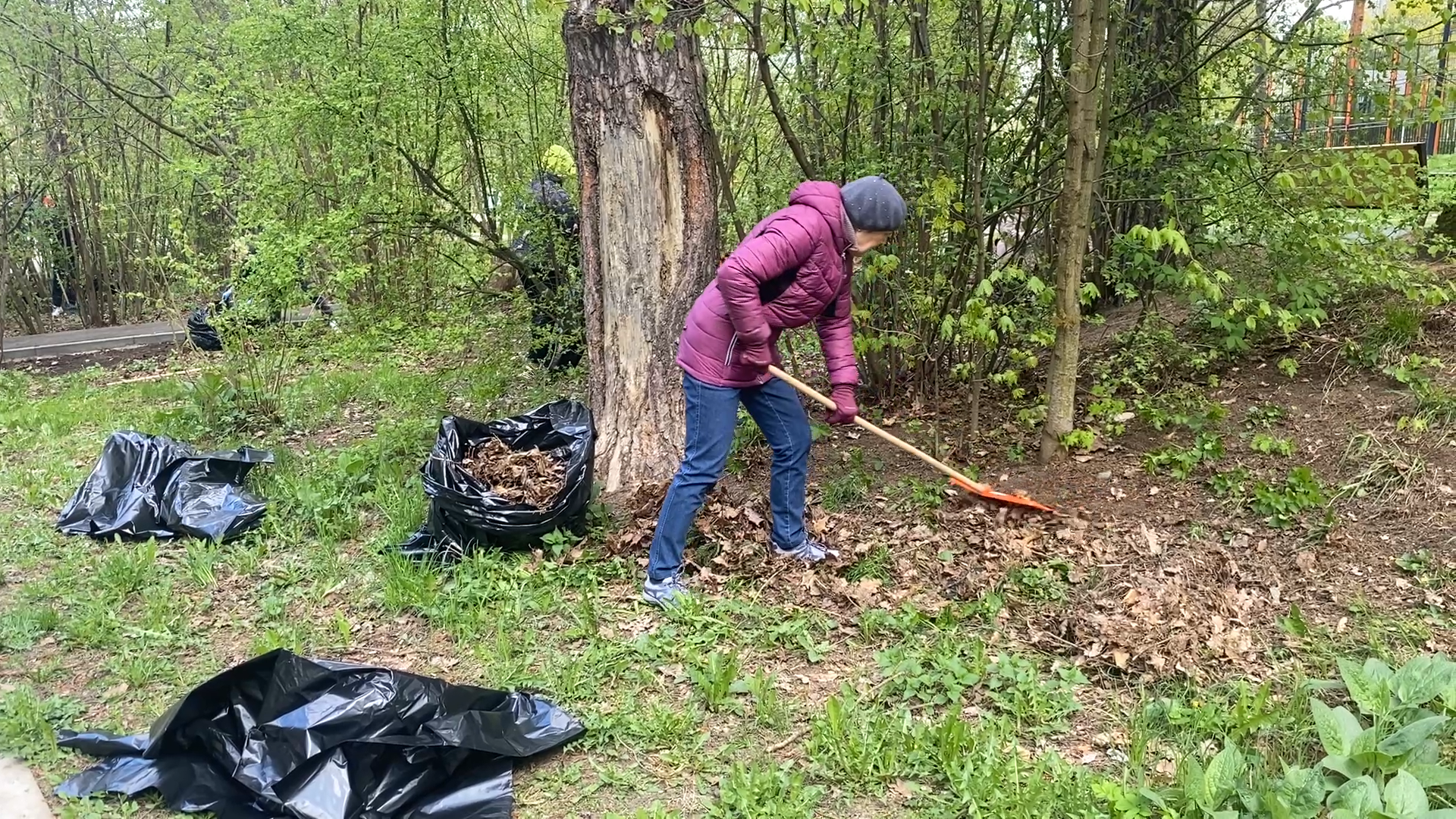 субботник, власиха субботник, весенний суббботник, всероссийский субботник,