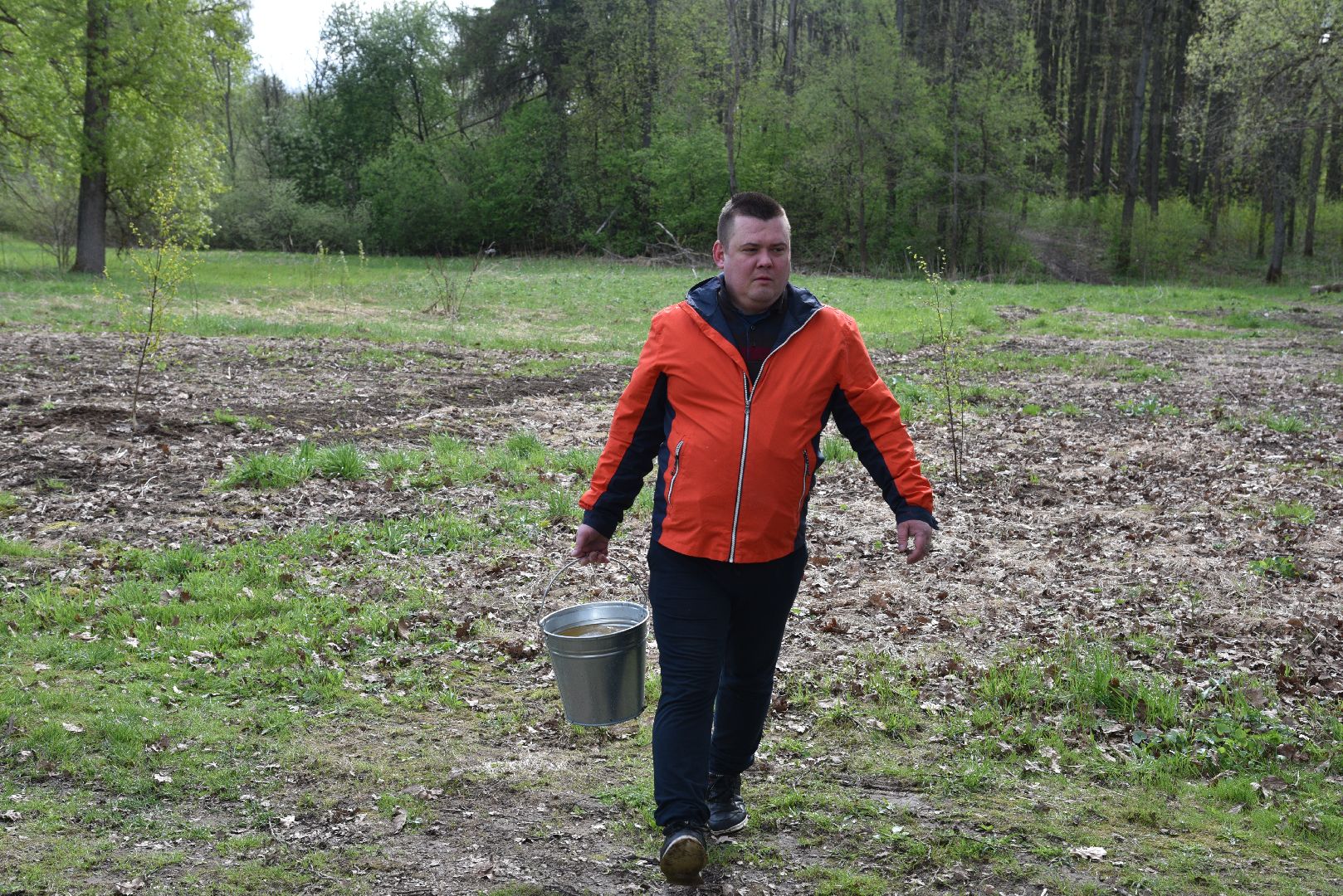 лотошино, дубки, сад памяти, посадка деревьев,