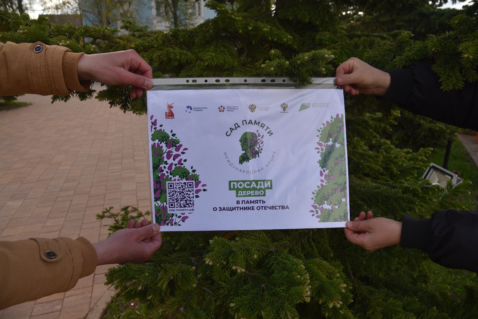 лотошино, дубки, сад памяти, посадка деревьев,