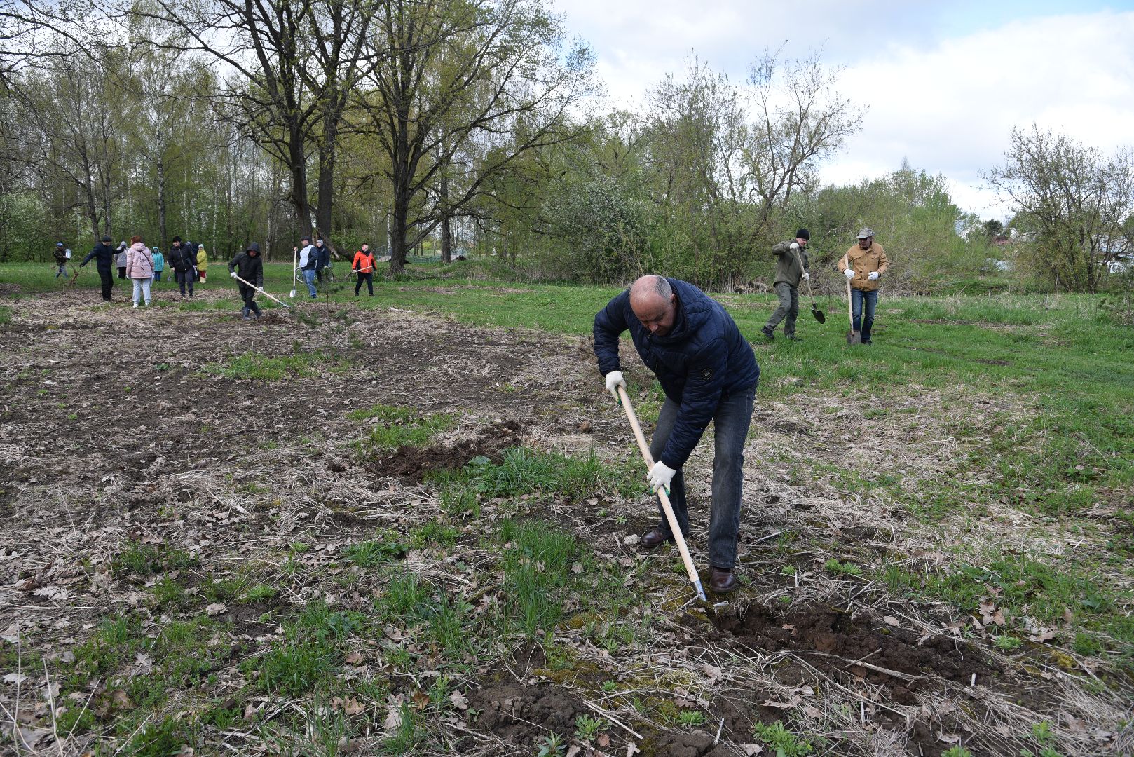 лотошино, дубки, сад памяти, посадка деревьев,