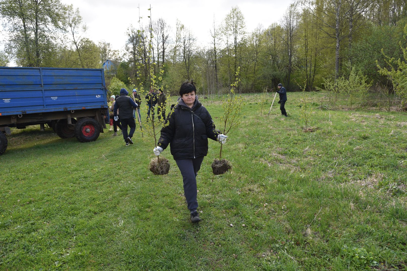 лотошино, дубки, сад памяти, посадка деревьев,