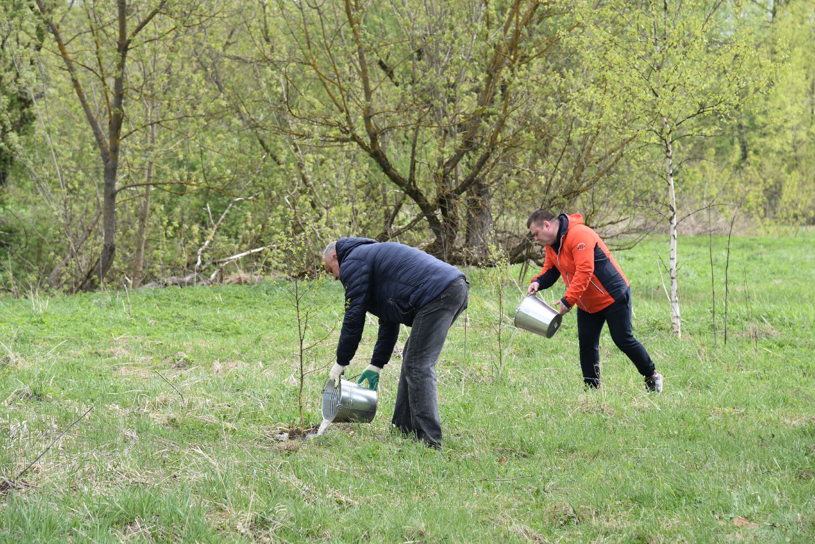 лотошино, дубки, сад памяти, посадка деревьев,