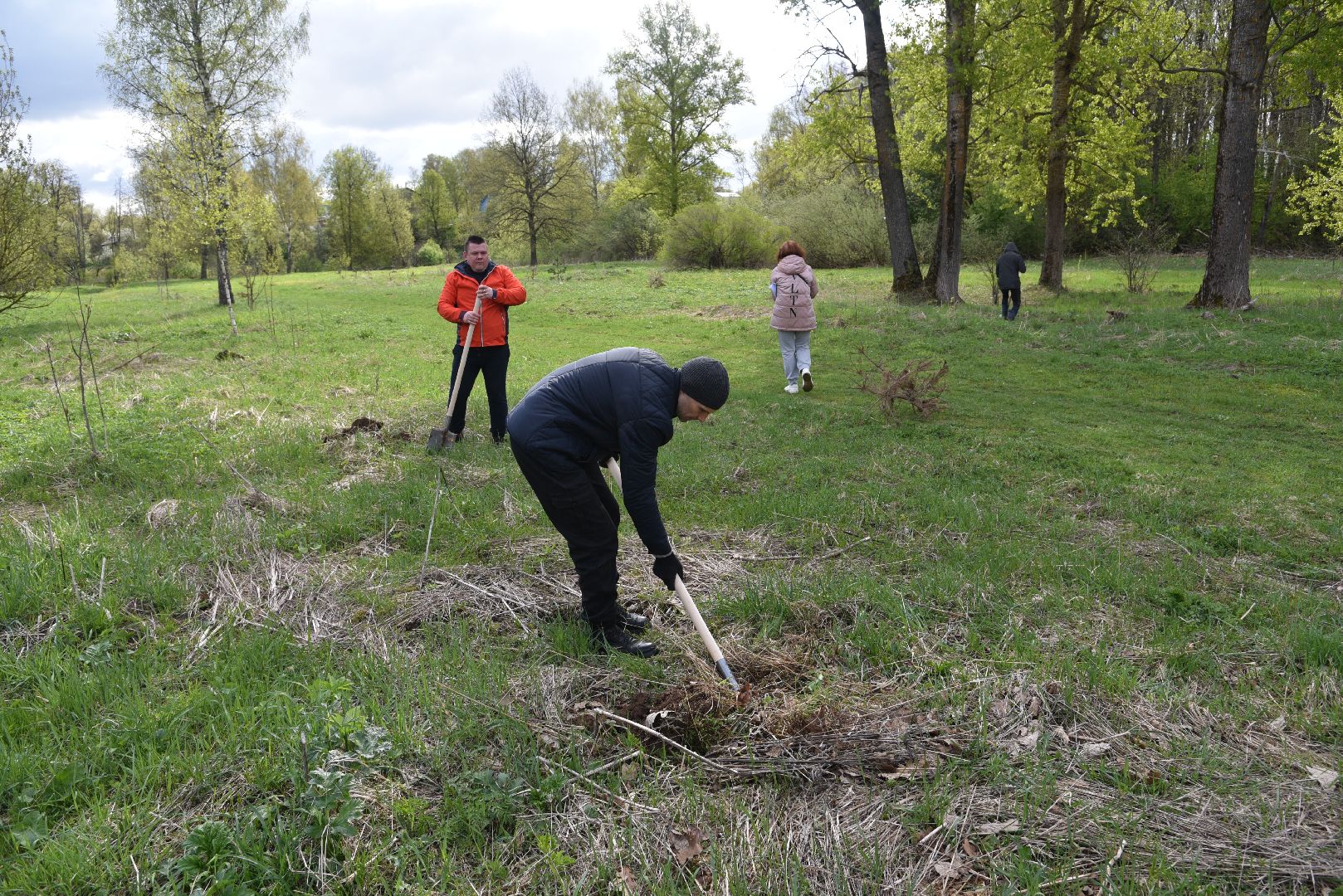 лотошино, дубки, сад памяти, посадка деревьев,