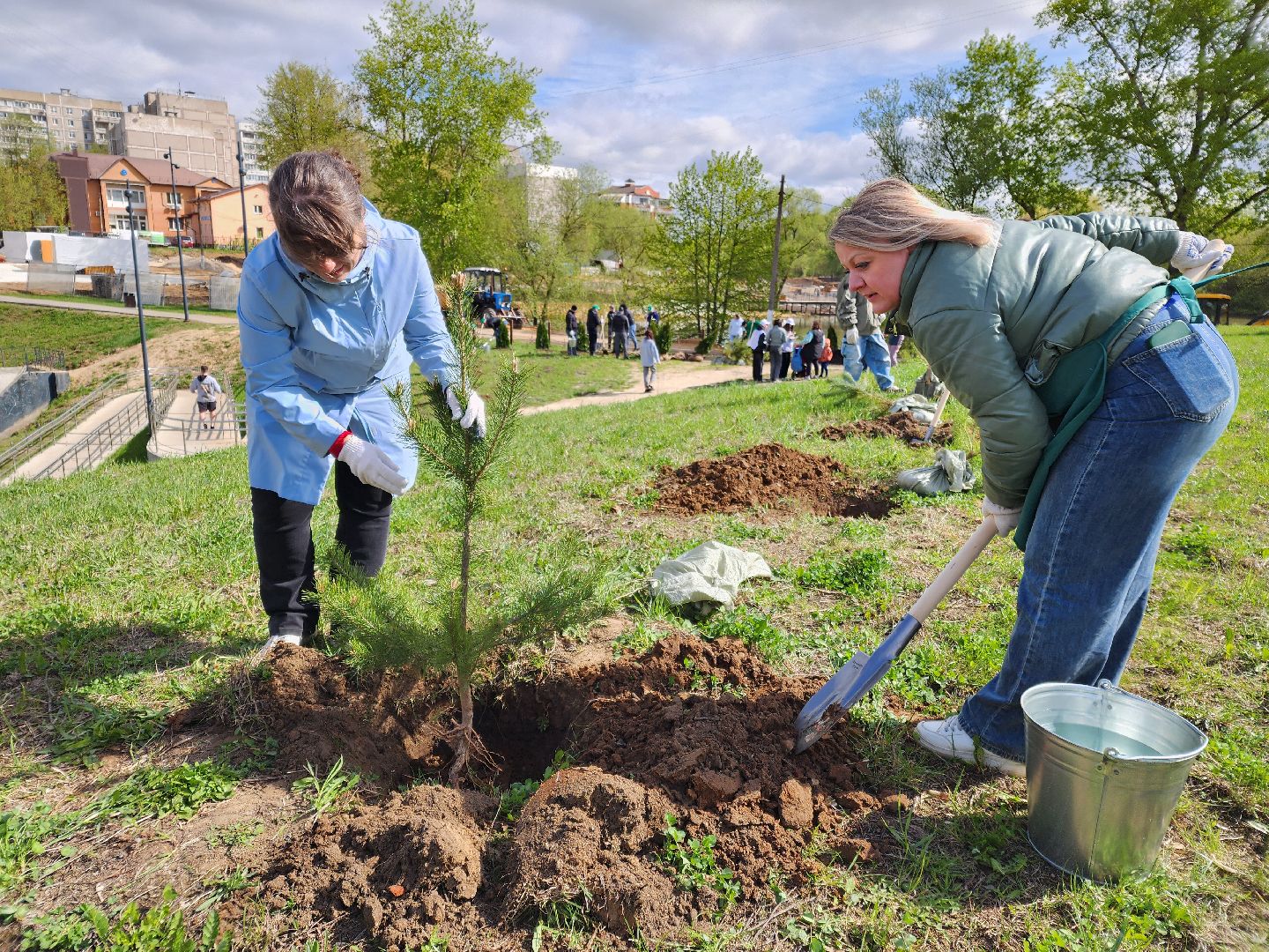 Чехов, набережная реки теребенка, Всероссийский субботник, уборка территорий, посадка деревьев, туи, ели, саженцы, благоустройство, уборка мусора, глава округа михаил собакин,