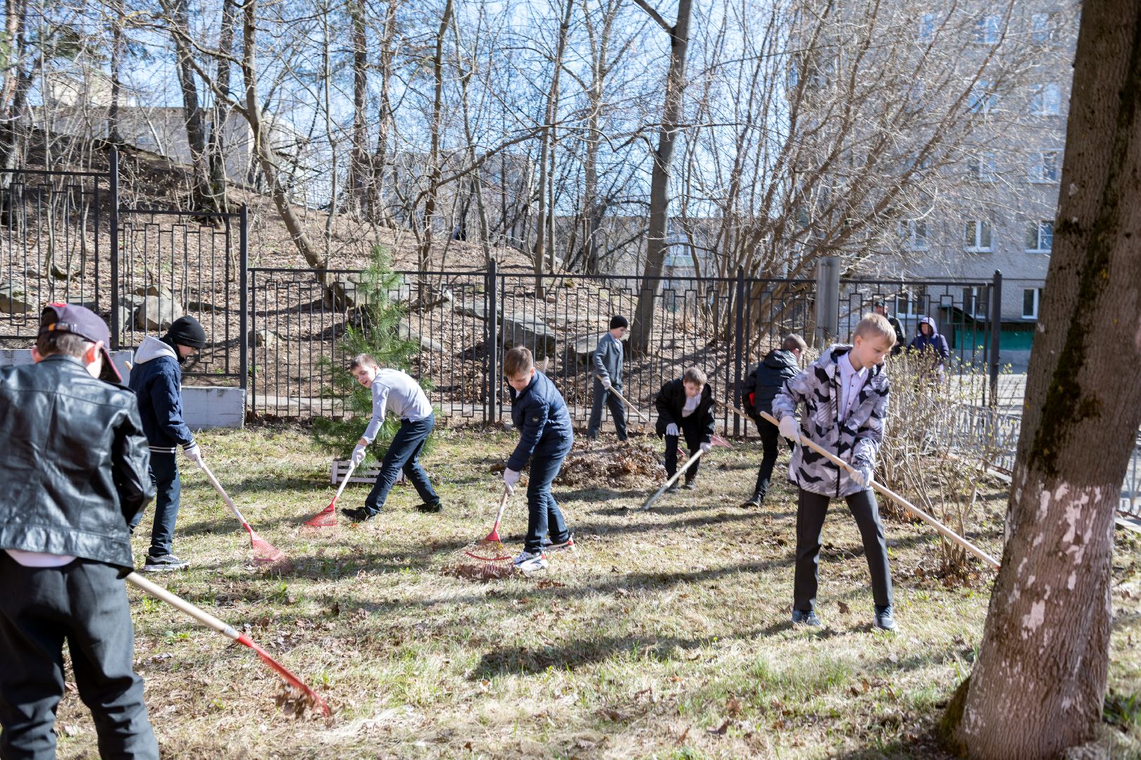 лыткарино, образование, субботник,