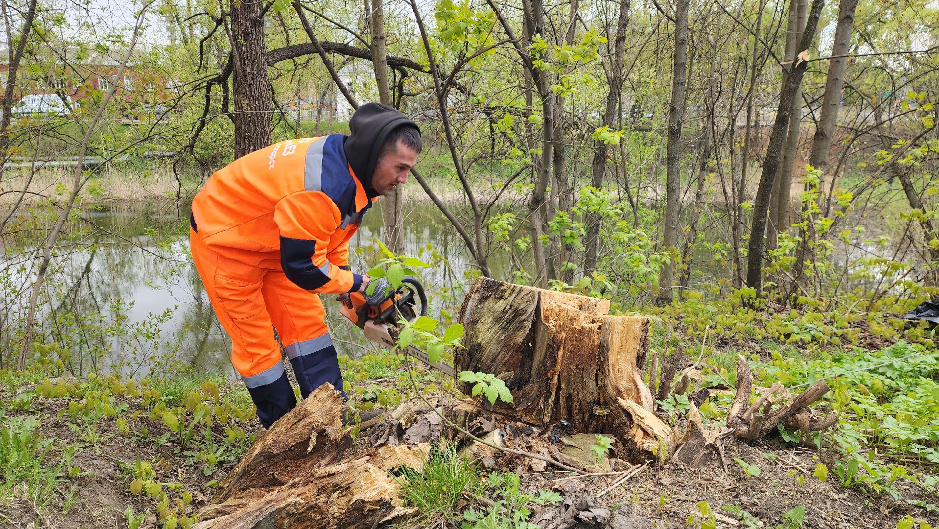 солнечногорск, екатерининский канал, субботник,