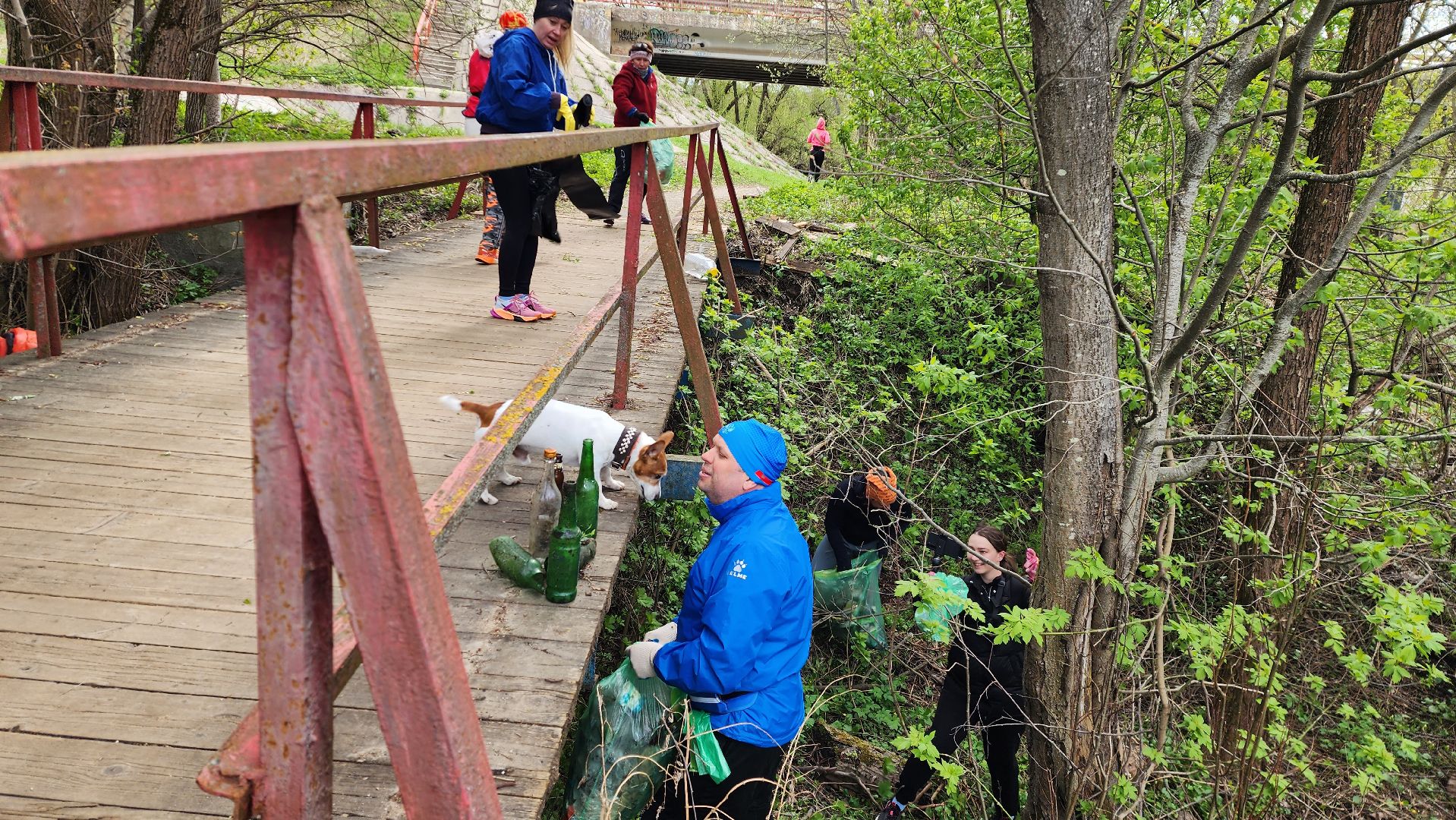 истра, субботник, плоггинг,  бег в парке,