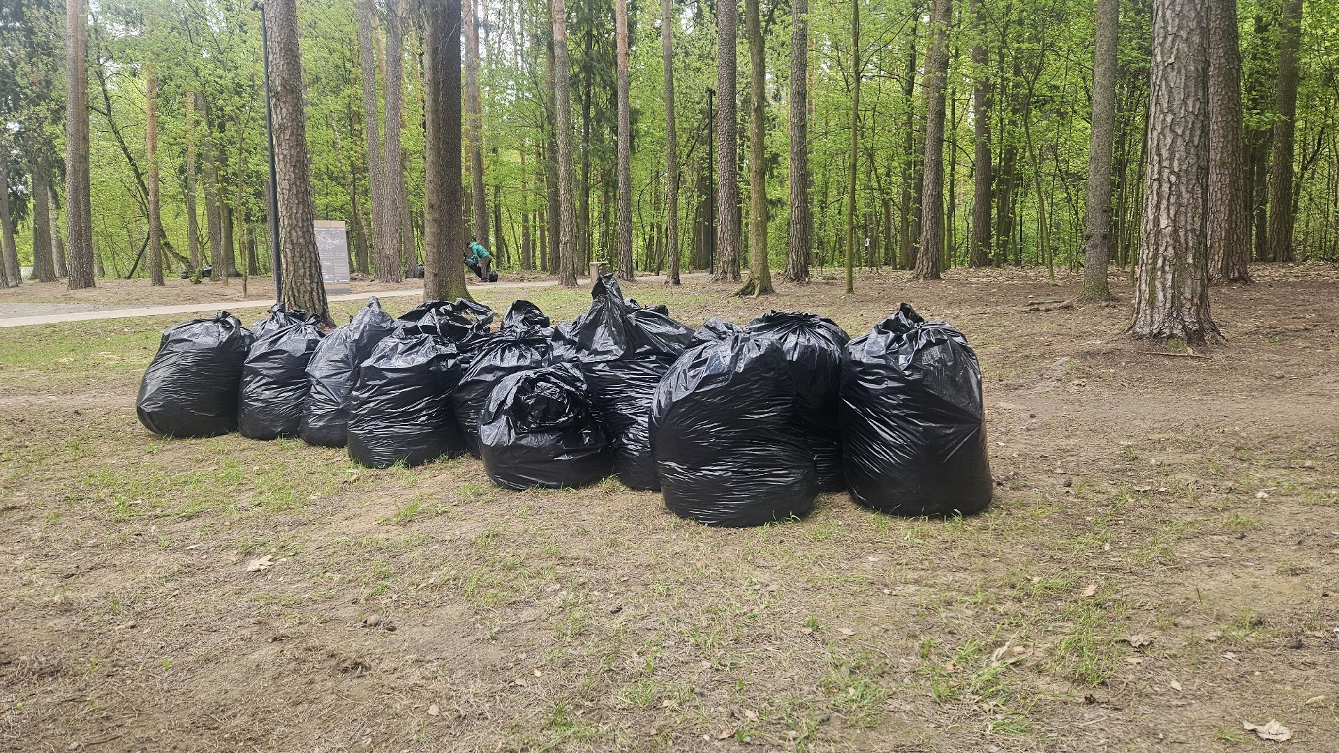 субботник, жуковский, парк, уборка,