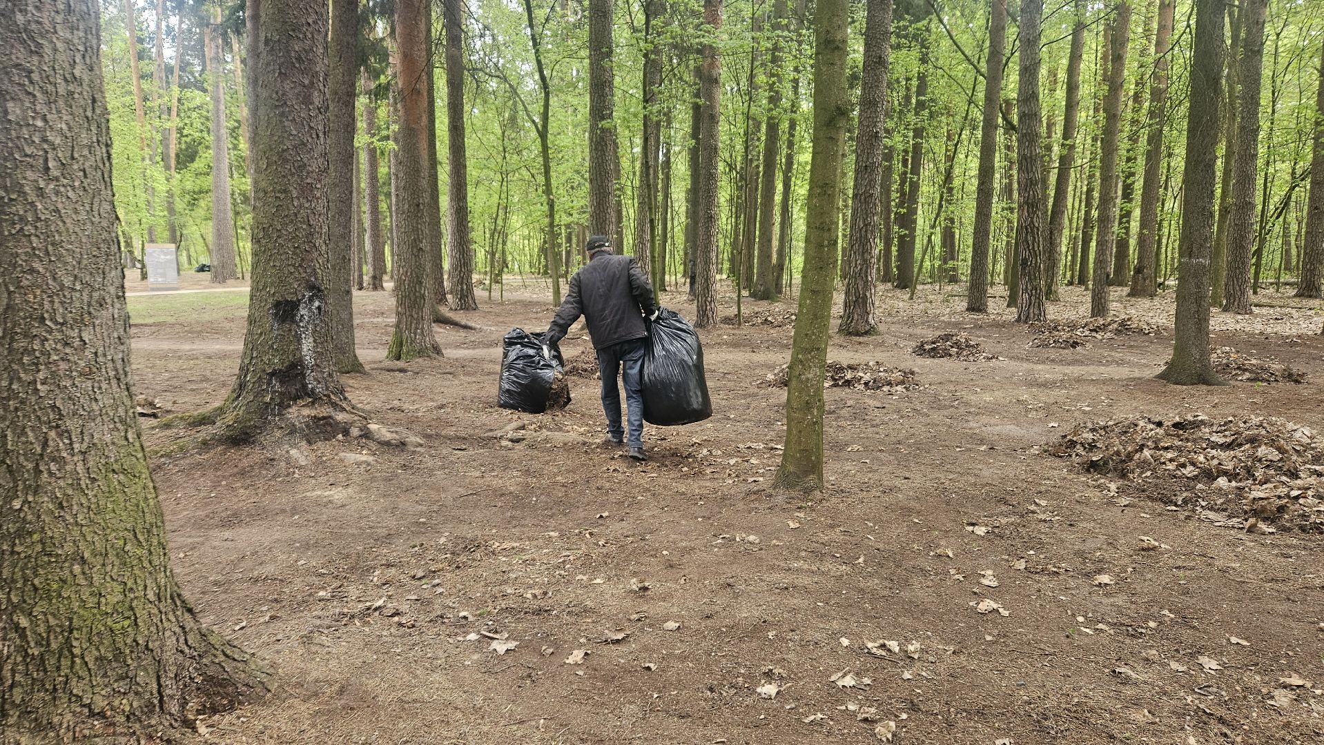 субботник, жуковский, парк, уборка,