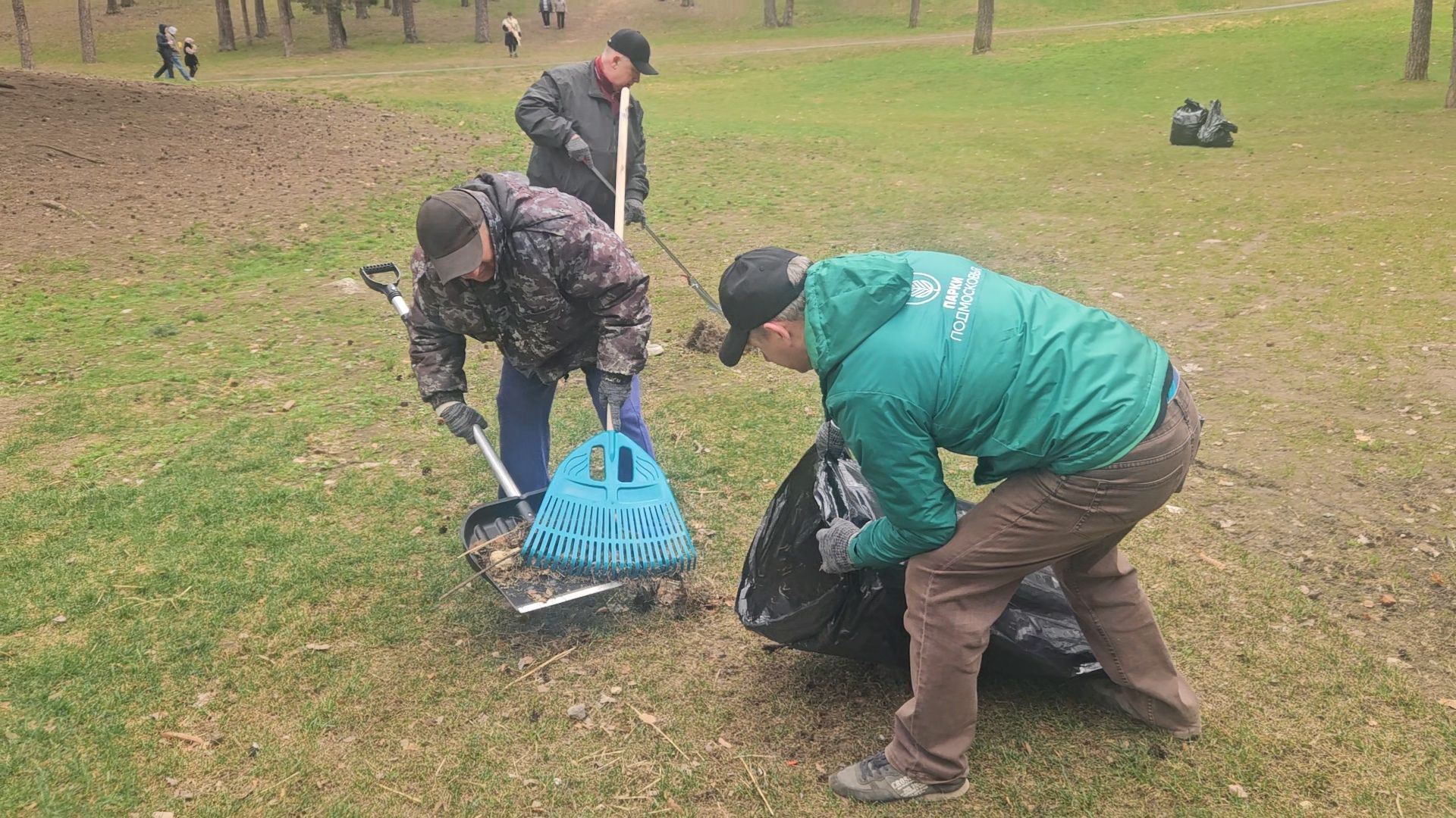 субботник, жуковский, парк, уборка,
