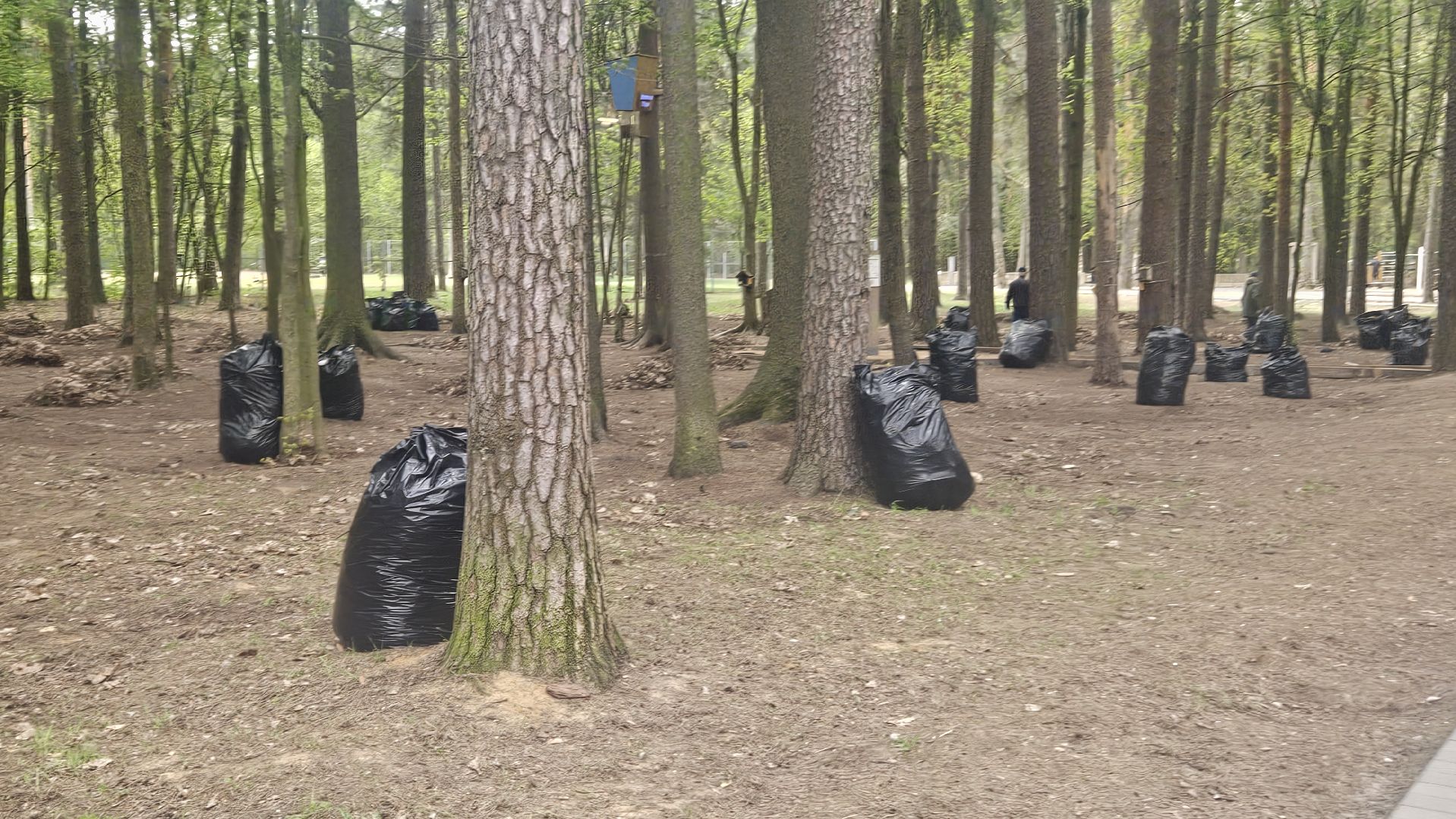 субботник, жуковский, парк, уборка,