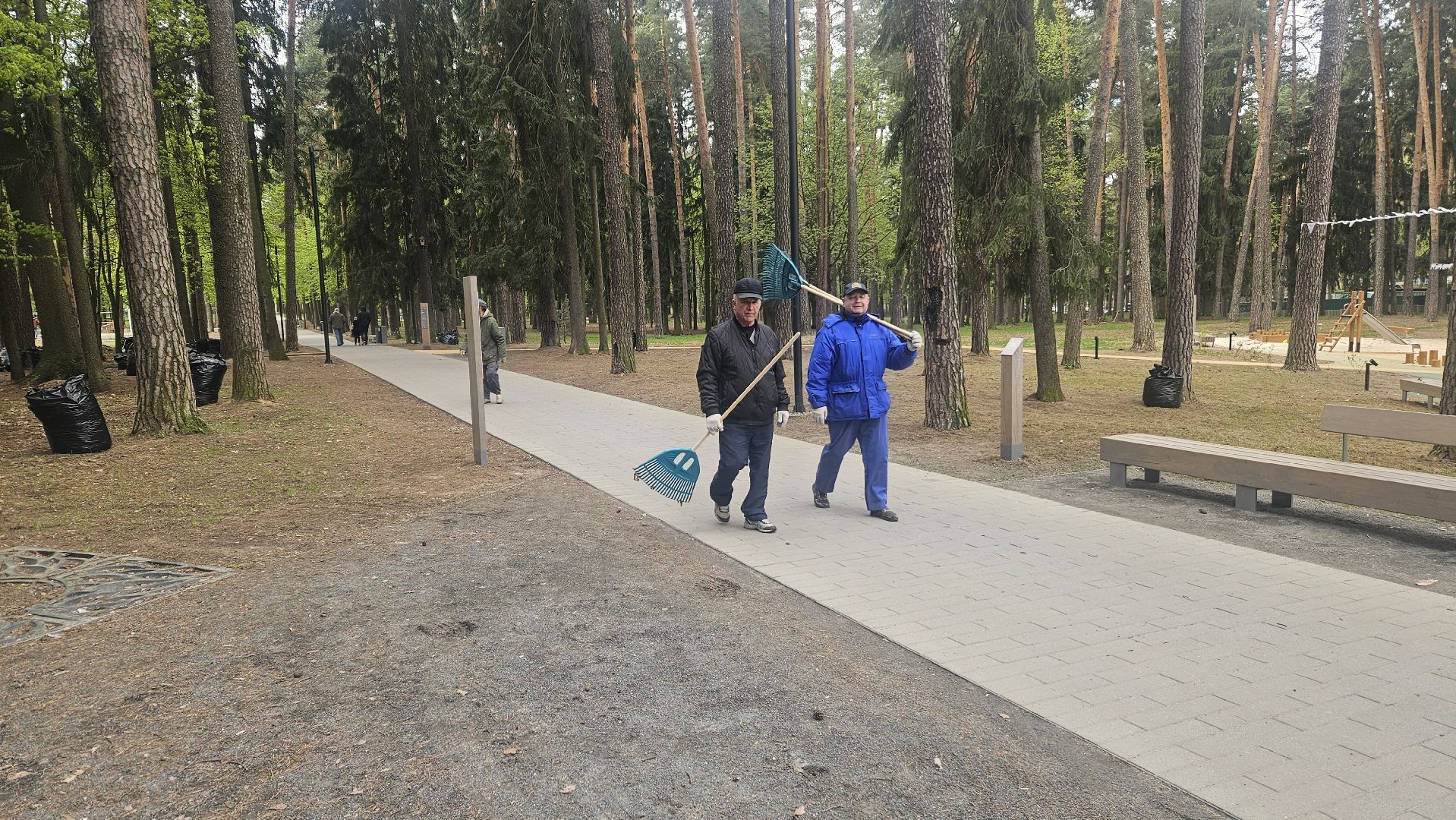 субботник, жуковский, парк, уборка,