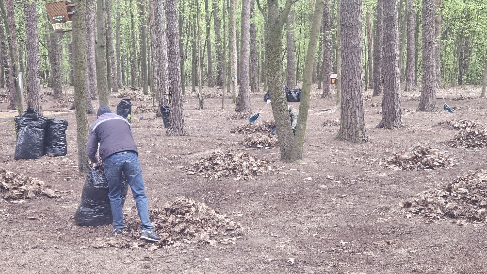 субботник, жуковский, парк, уборка,