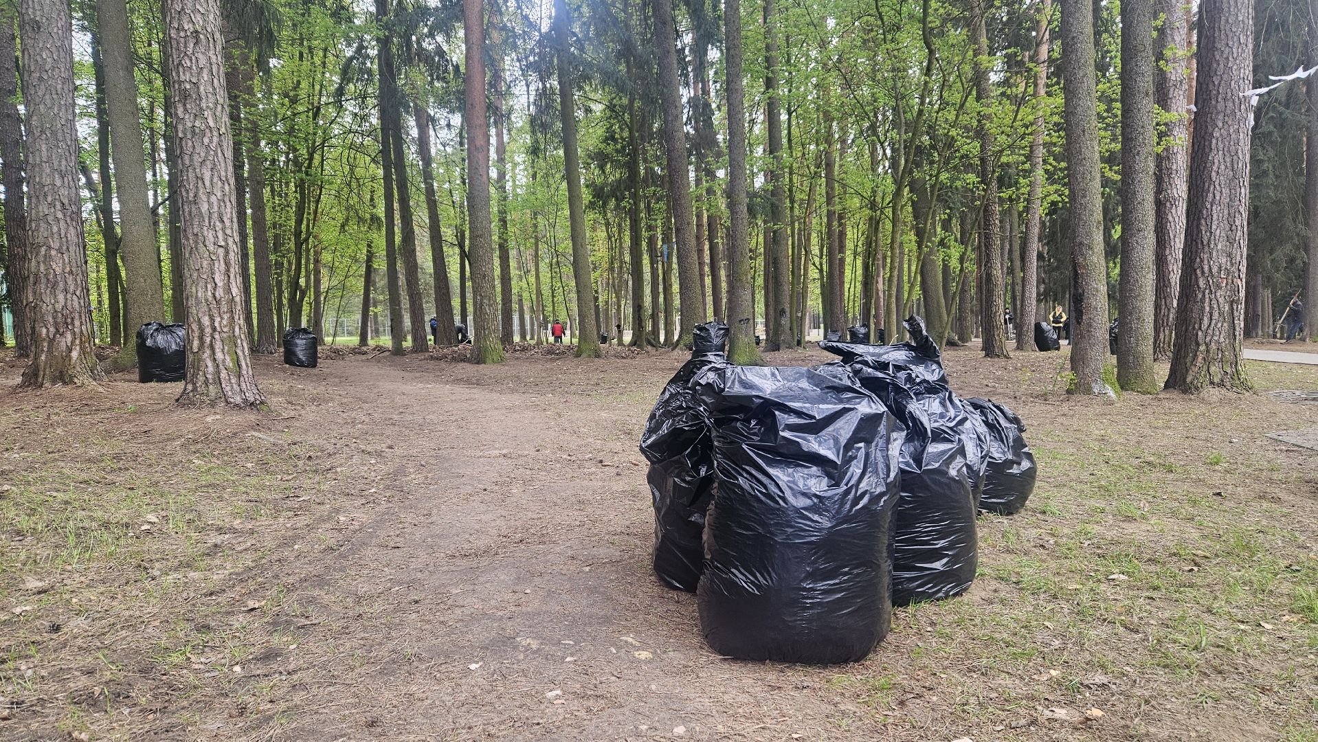 субботник, жуковский, парк, уборка,