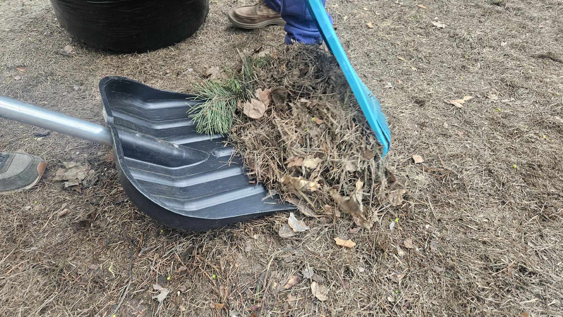 субботник, жуковский, парк, уборка,