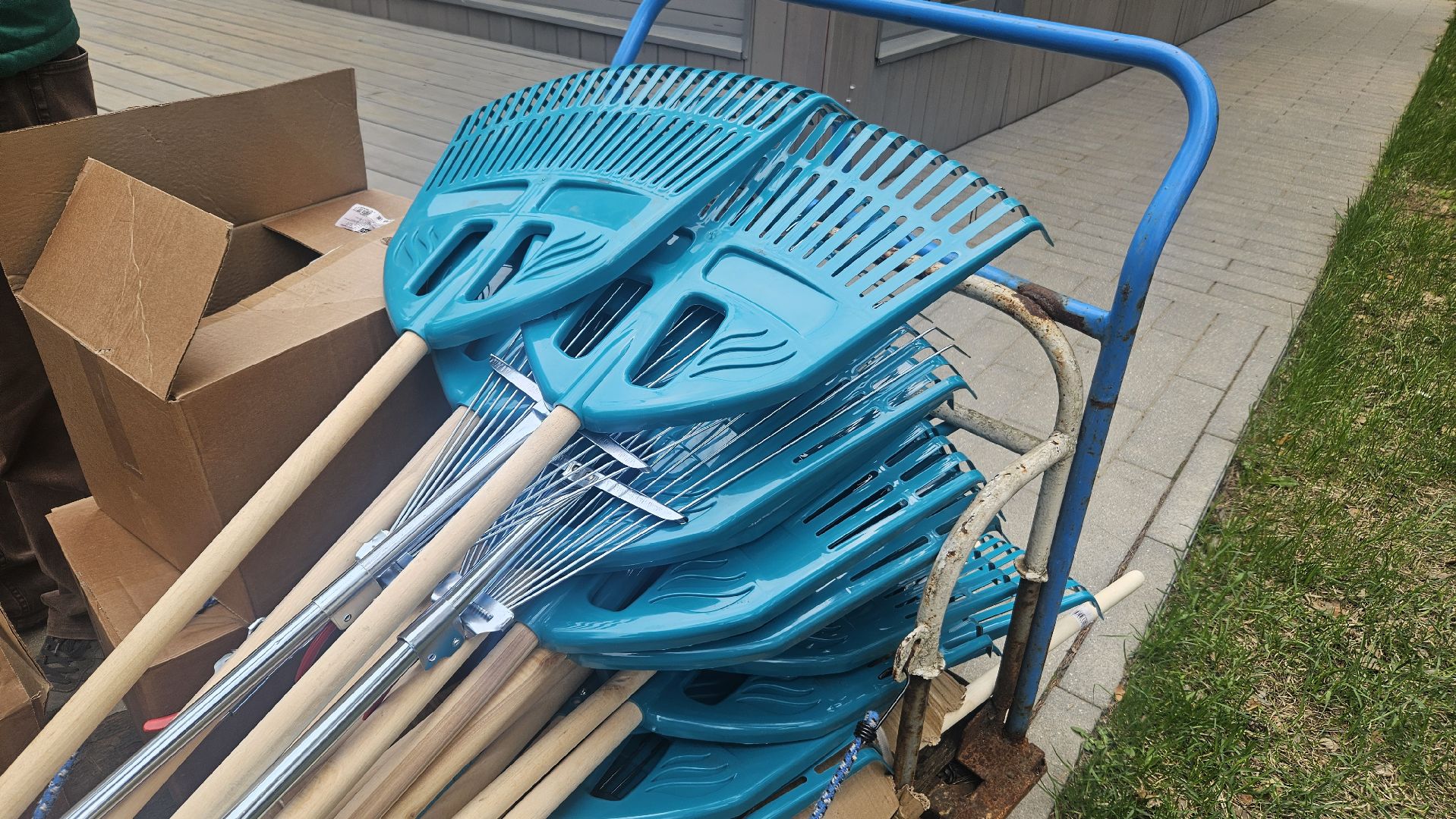 субботник, жуковский, парк, уборка,