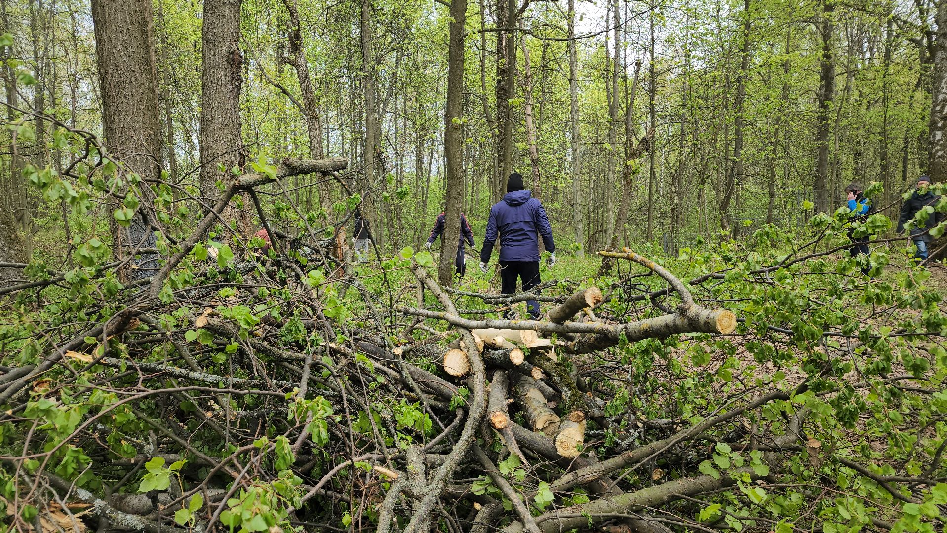 ступино, субботник, благоустройство,