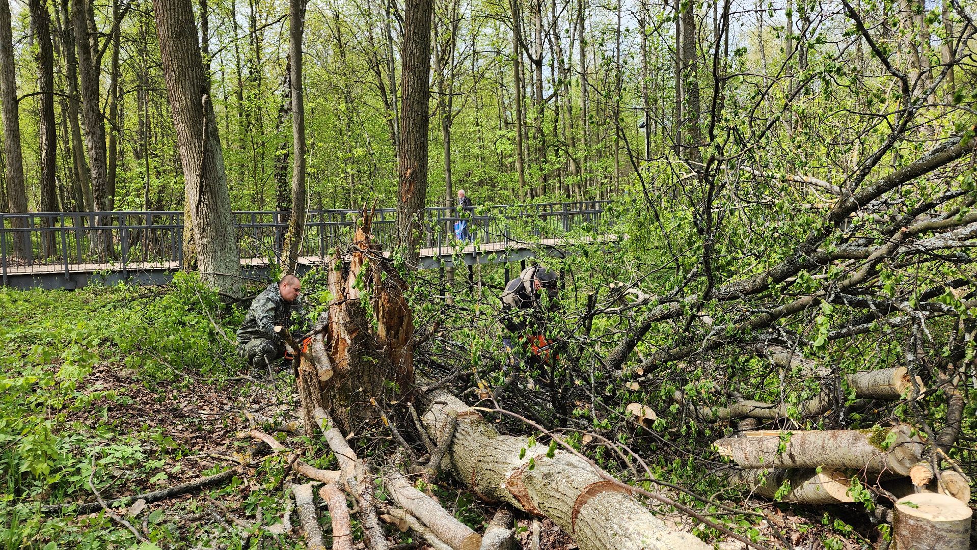 ступино, субботник, благоустройство,