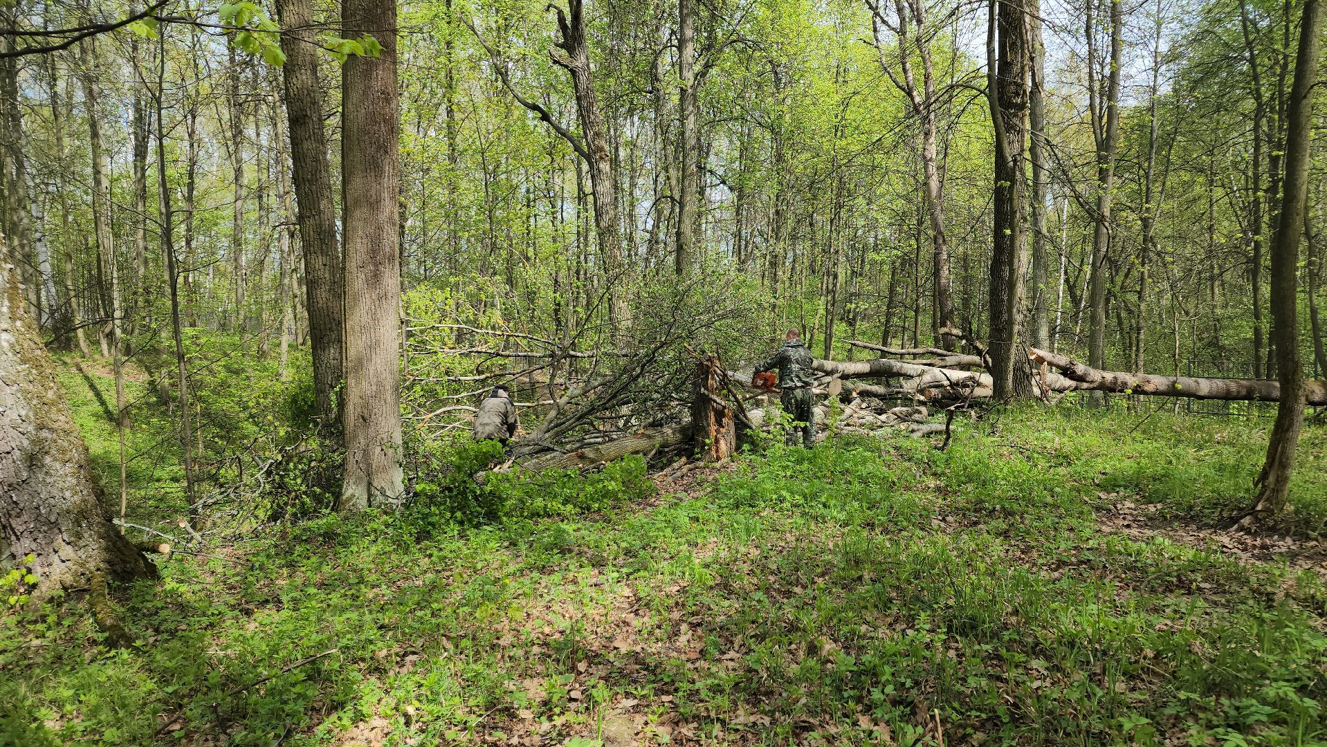 ступино, субботник, благоустройство,