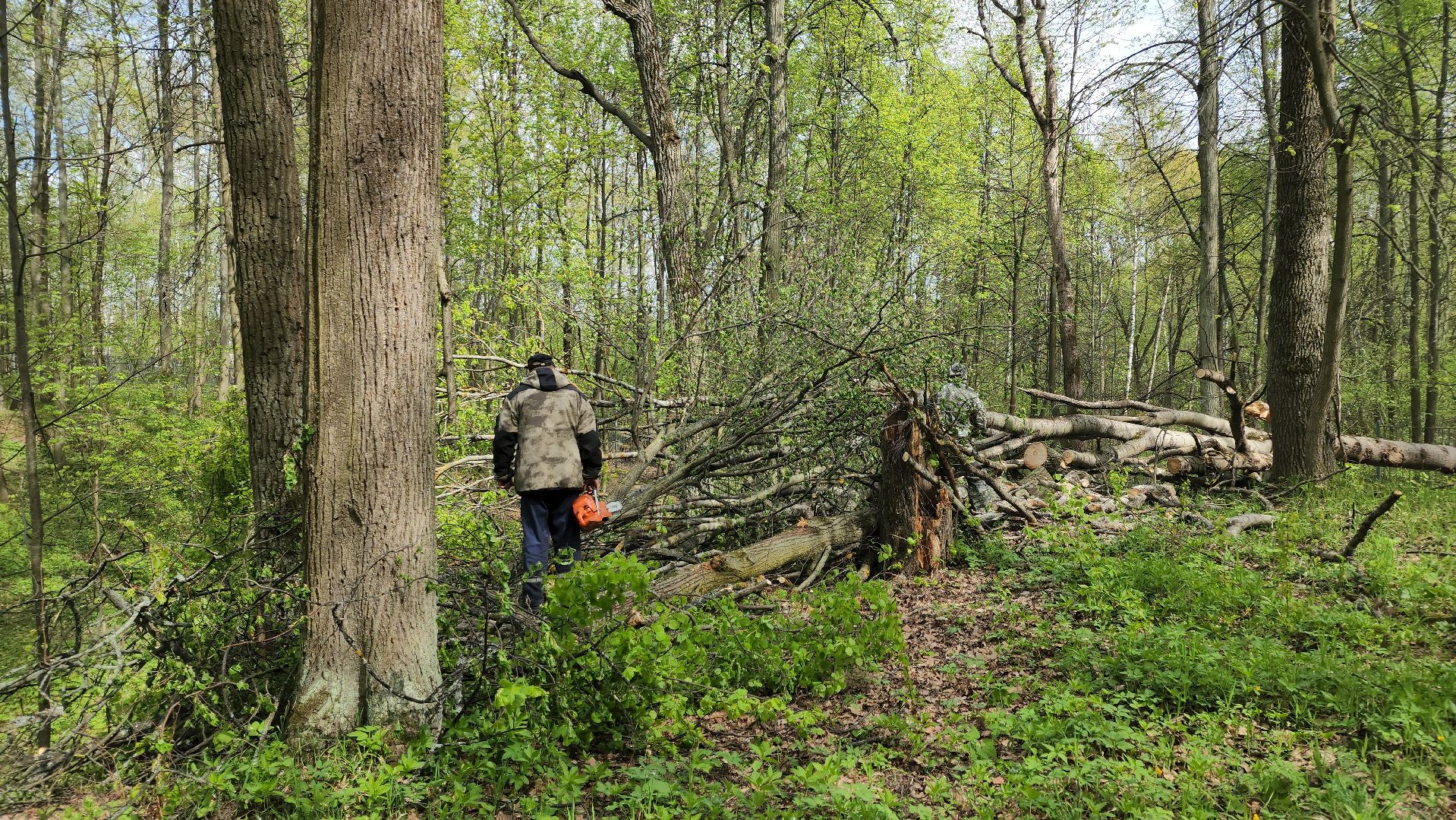 ступино, субботник, благоустройство,