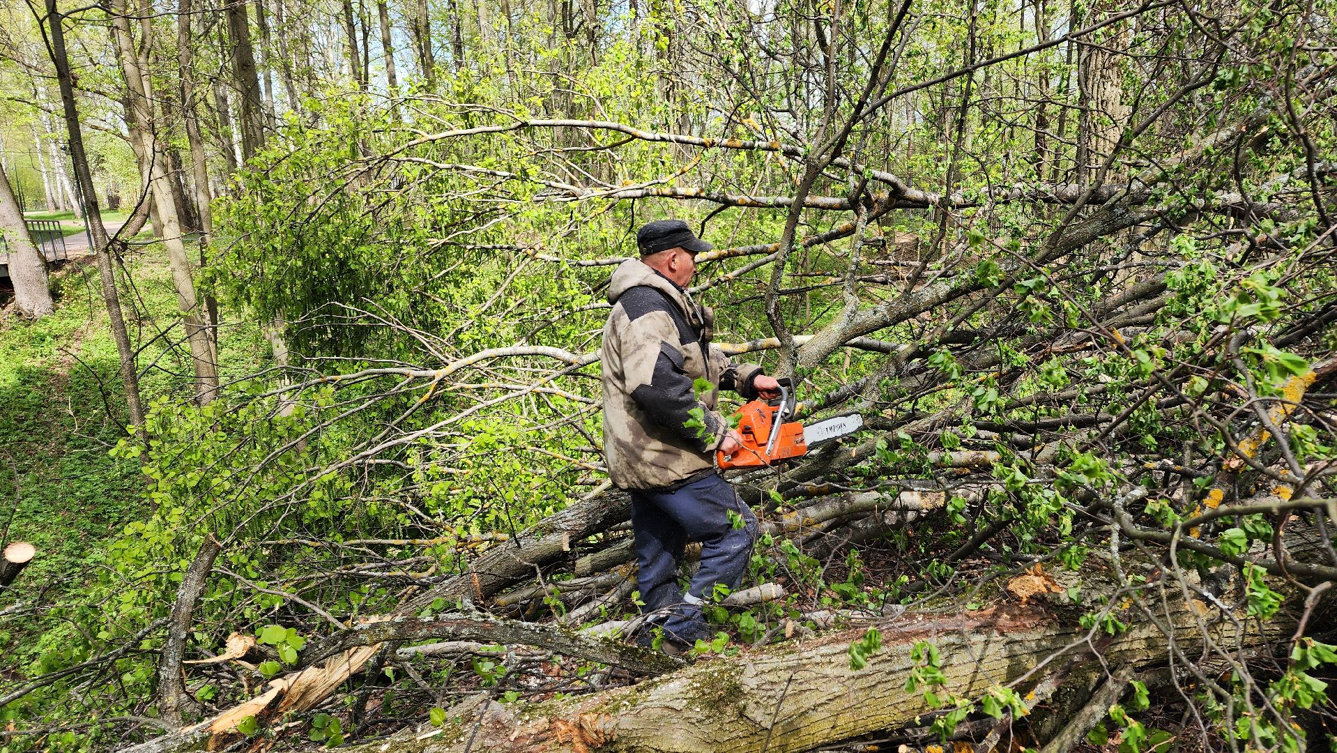 ступино, субботник, благоустройство,