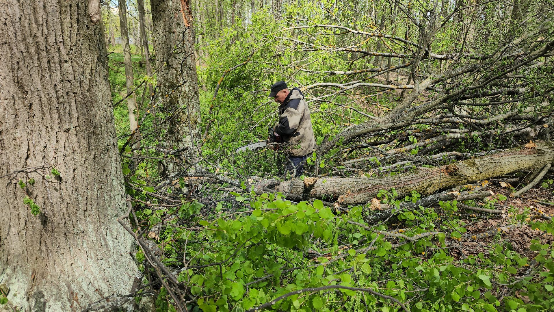 ступино, субботник, благоустройство,