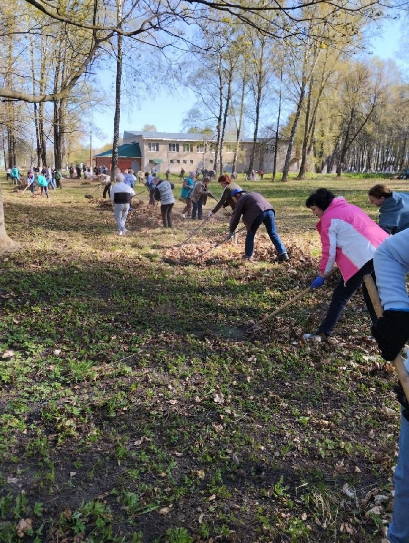 благоустройство, субботник в серебряных прудах, общнобластное голосование, формирование комфортной городской среды, жилье и городская среда,
