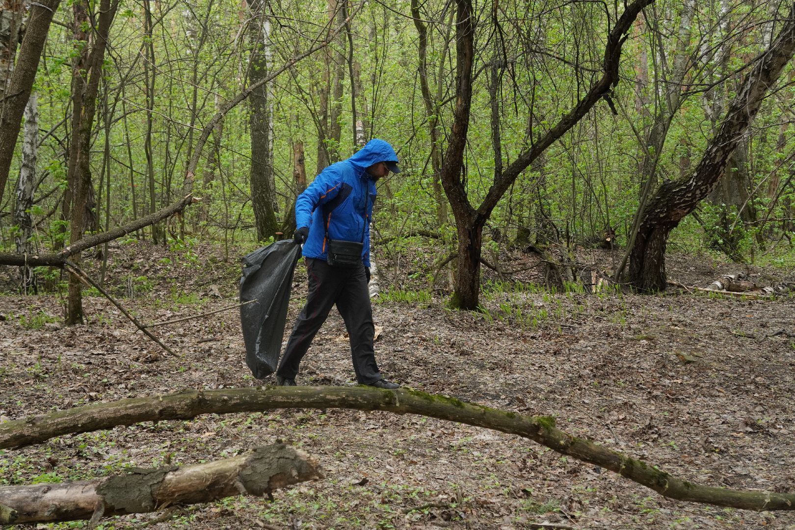 котельники, кузьминский лесопарк, всероссийский субботник,