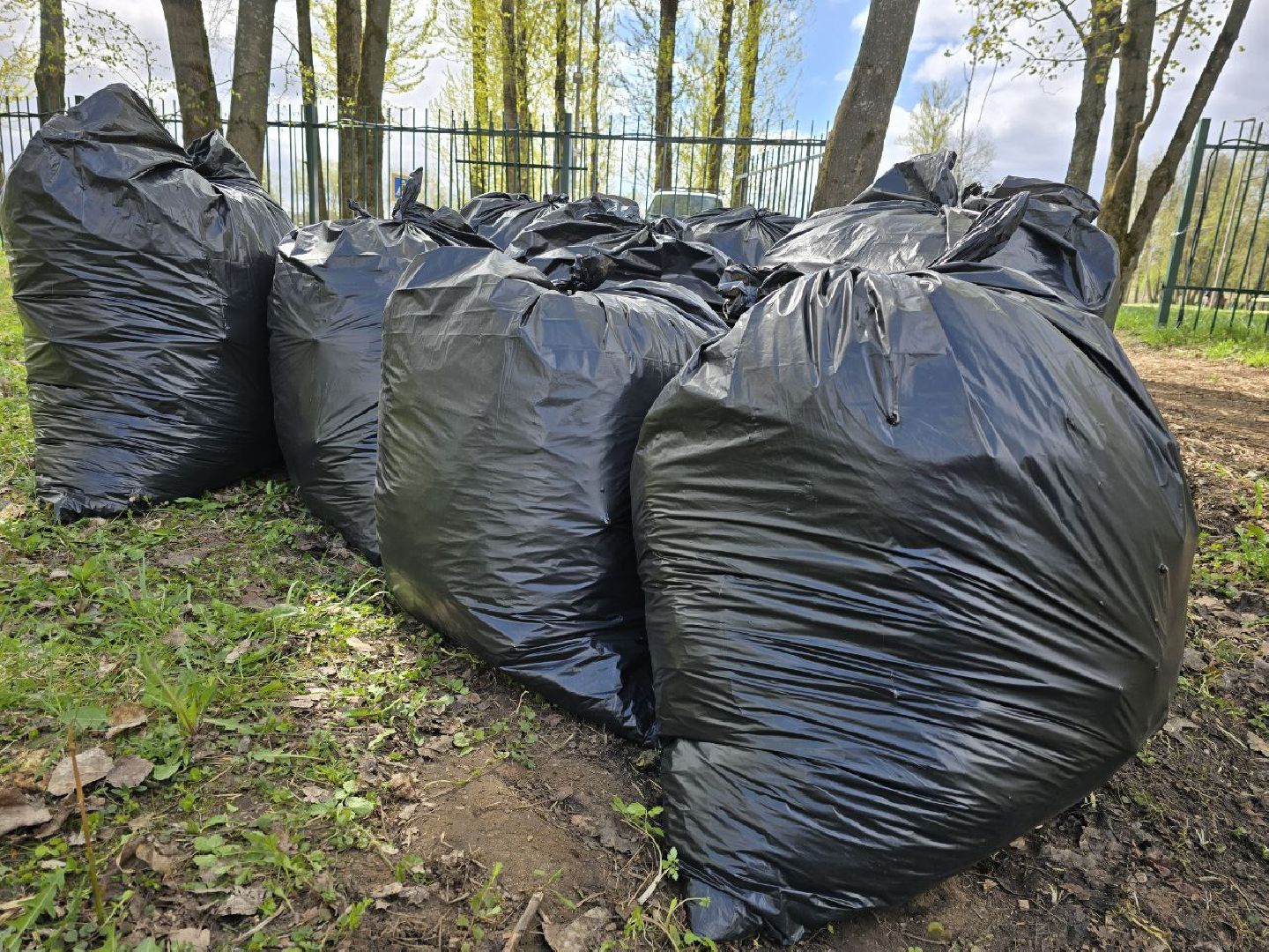 можайск, можайский муниципальный округ, подмосковье, субботник, общеобластной субботник, парк , городской парк, центральная площадка,