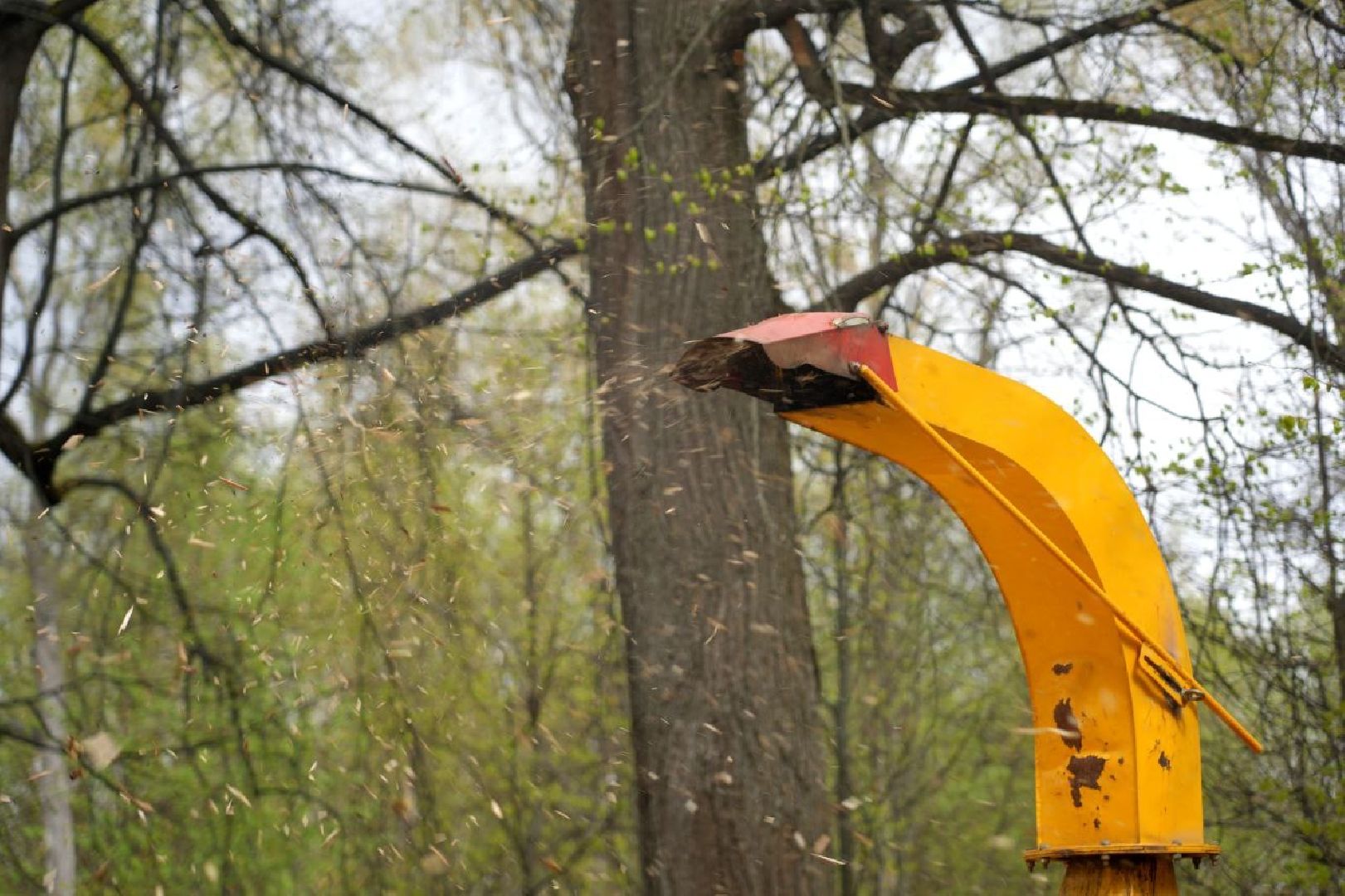 субботник, сергиев посад, сергиево-посадский городской округ, общеобластной субботник,  благоустройство,