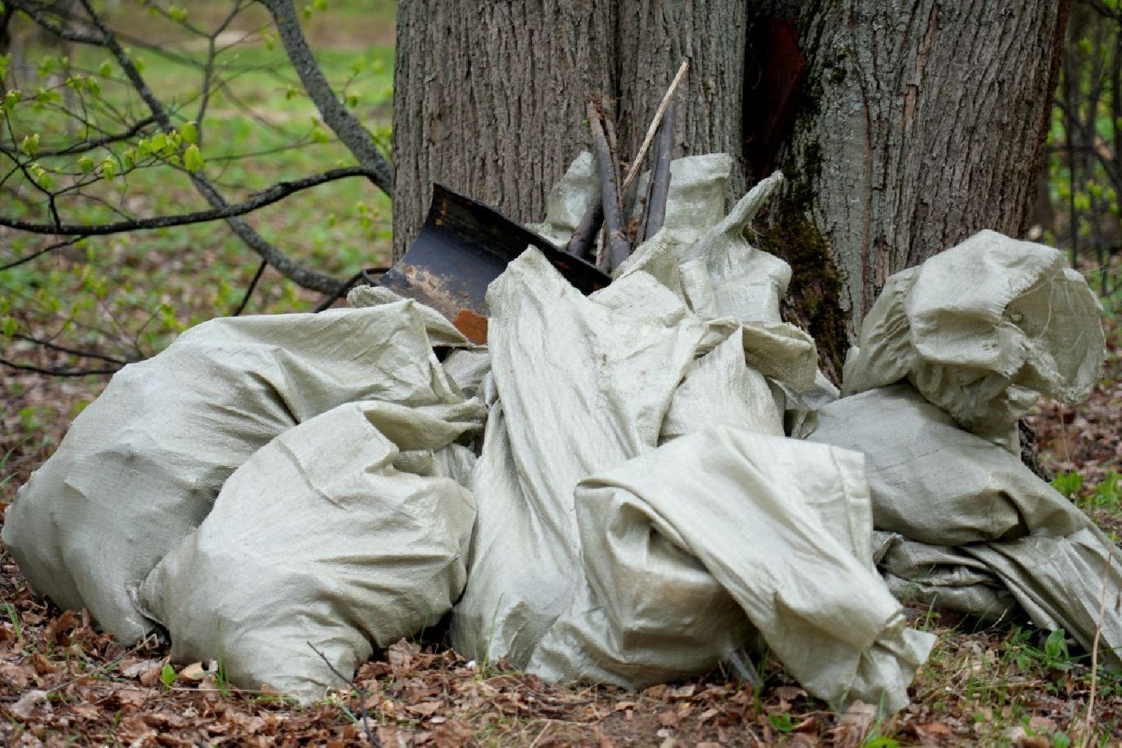 субботник, сергиев посад, сергиево-посадский городской округ, общеобластной субботник,  благоустройство,