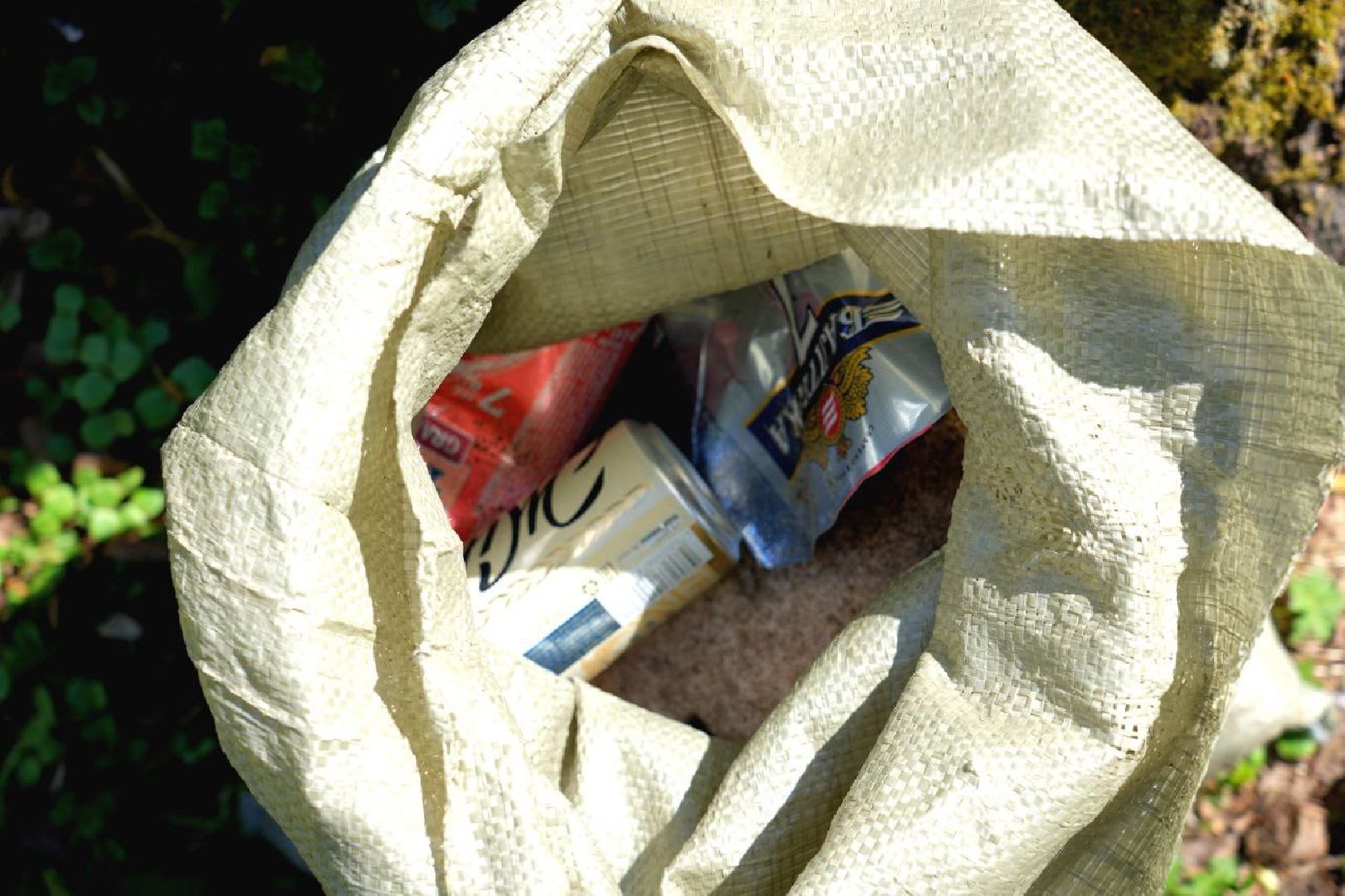 субботник, сергиев посад, сергиево-посадский городской округ, общеобластной субботник,  благоустройство,