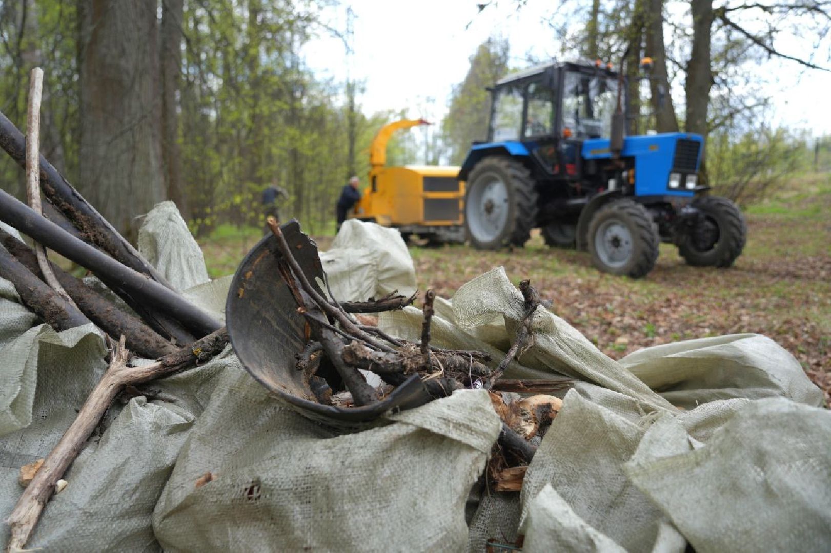 субботник, сергиев посад, сергиево-посадский городской округ, общеобластной субботник,  благоустройство,
