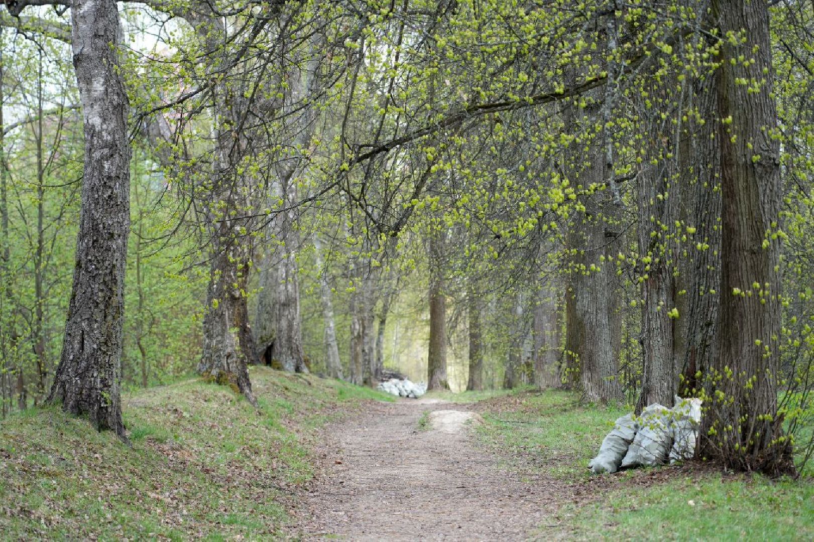субботник, сергиев посад, сергиево-посадский городской округ, общеобластной субботник,  благоустройство,