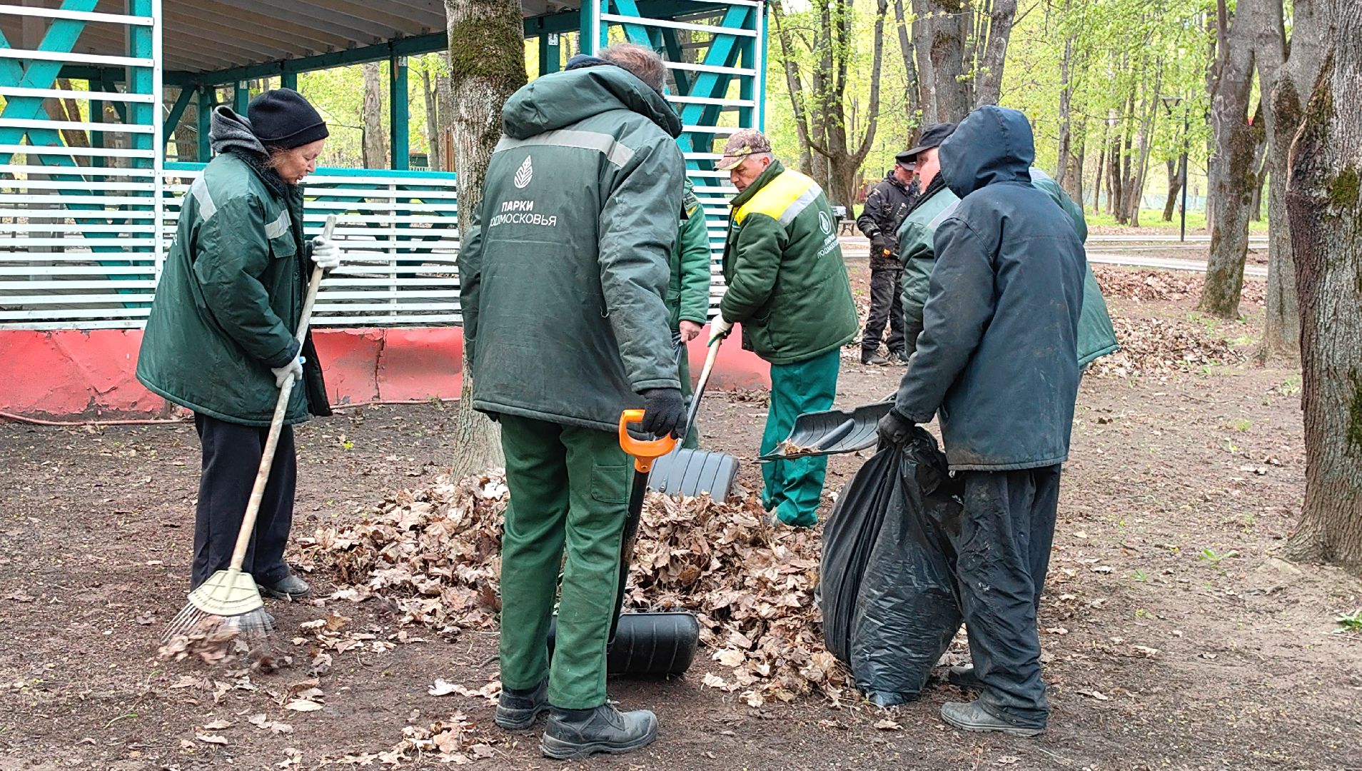 субботник, парк, мусор, листва,