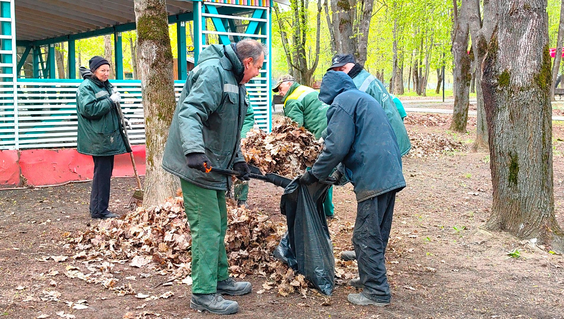 субботник, парк, мусор, листва,