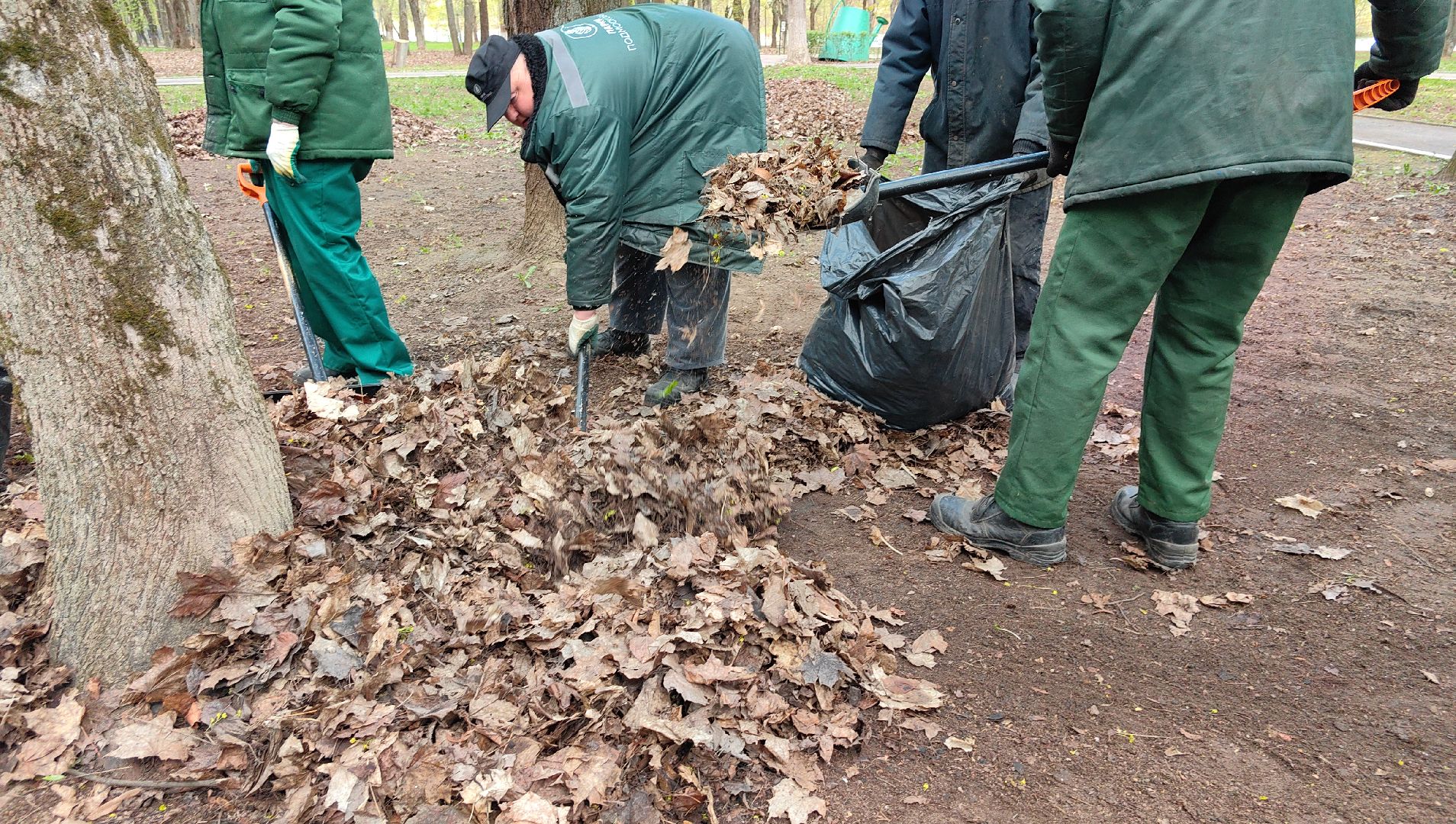 субботник, парк, мусор, листва,
