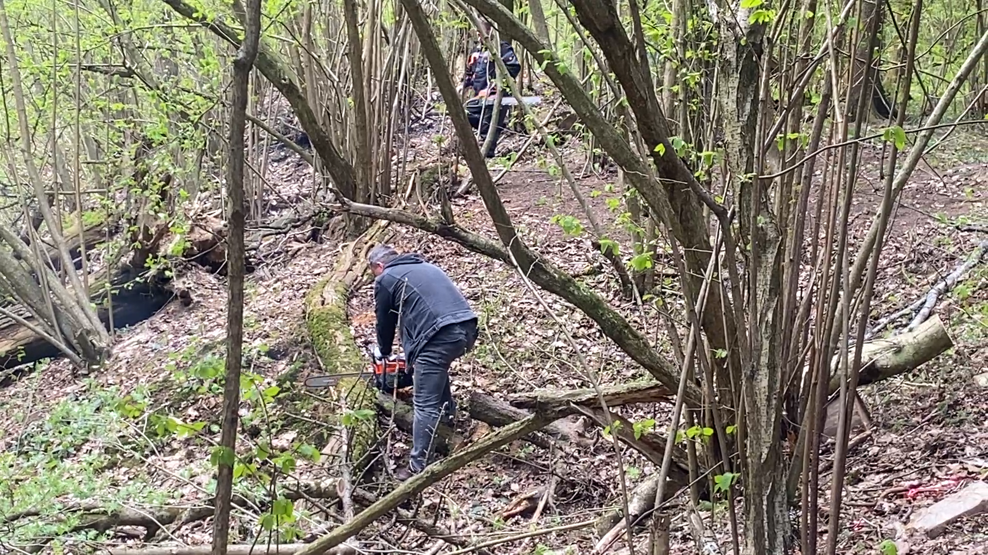 субботник, субботник во власихе, уборка территории, всероссийский субботник, власиха цветной бульвар,
