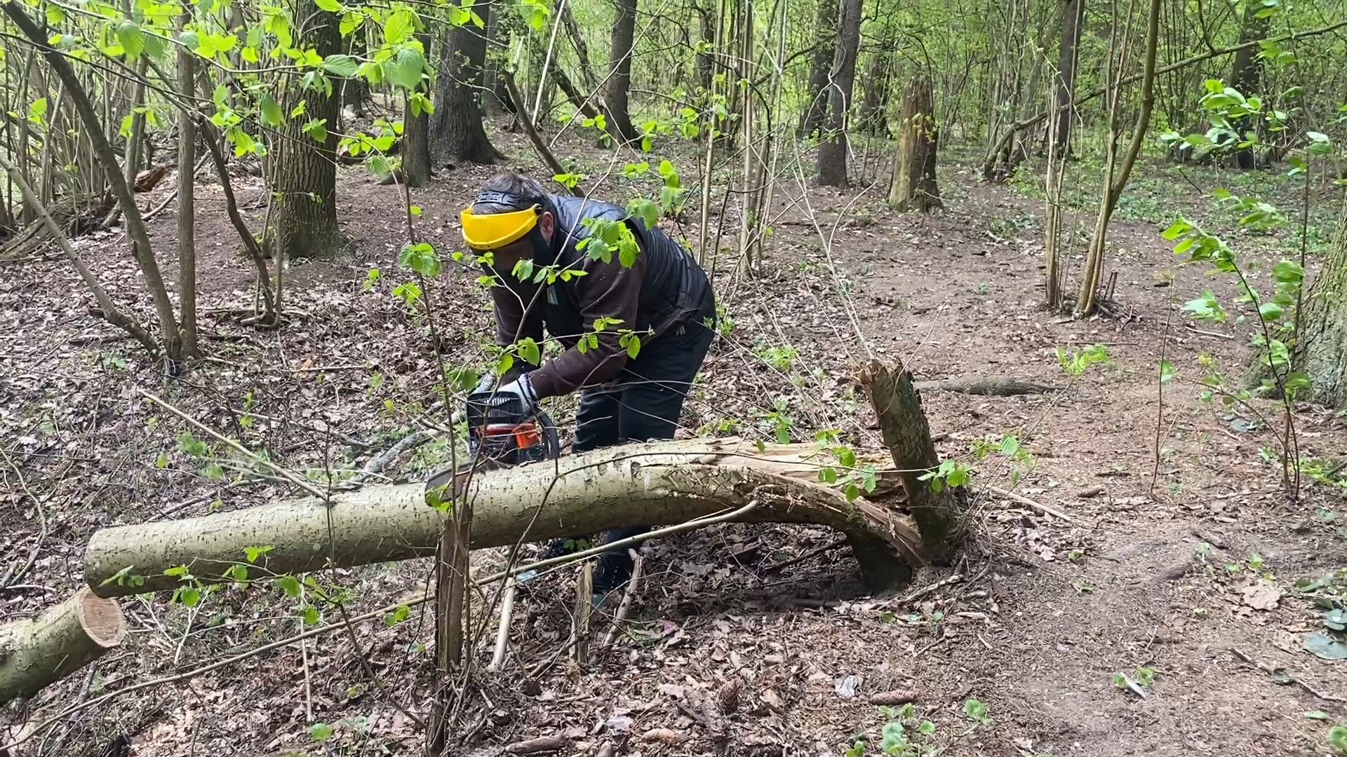 субботник, субботник во власихе, уборка территории, всероссийский субботник, власиха цветной бульвар,
