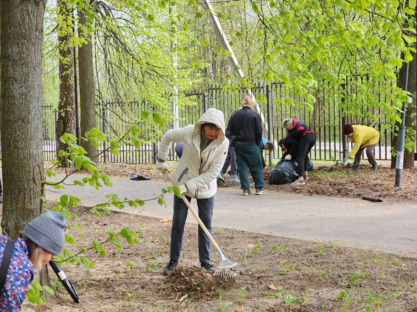 всероссийский субботник, шатурский округ, шатура, экологическая акция,
